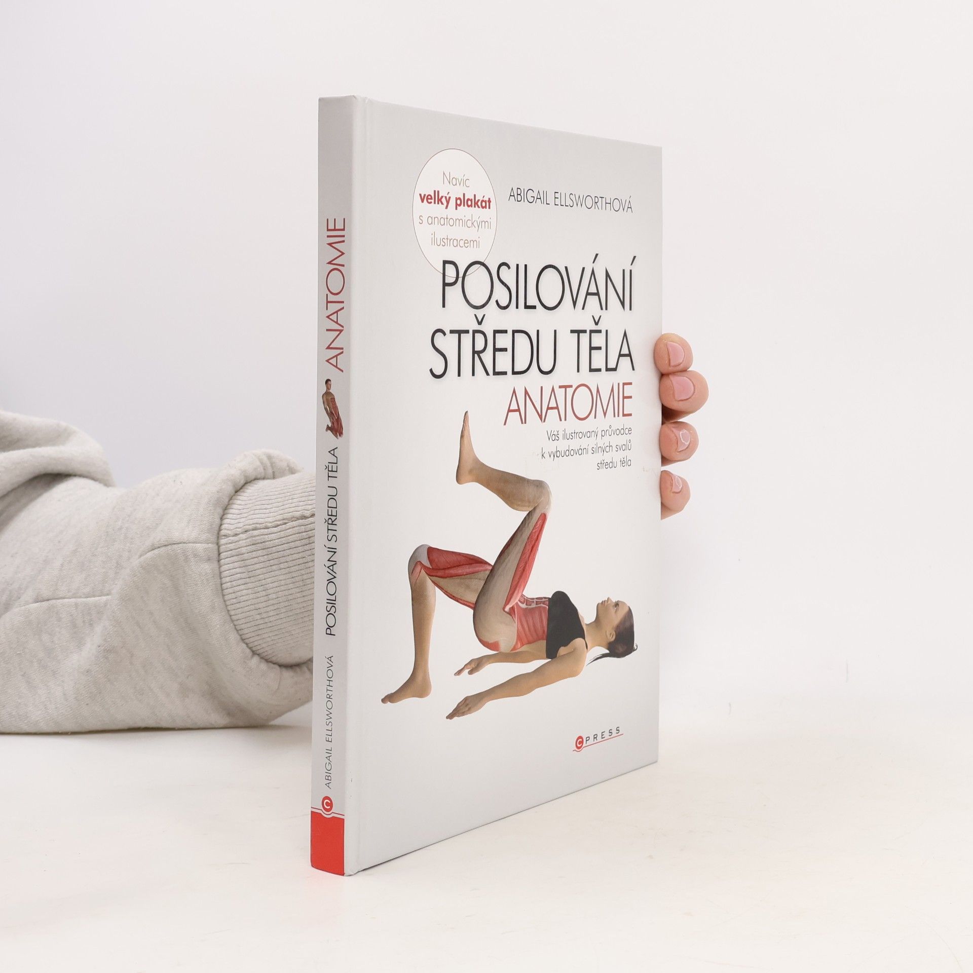 Posilování středu těla - anatomie