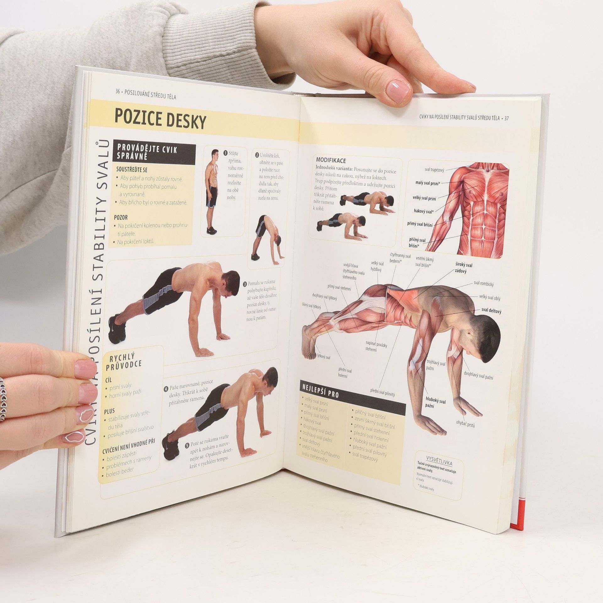 Abby Ellsworth Posilování středu těla - anatomie