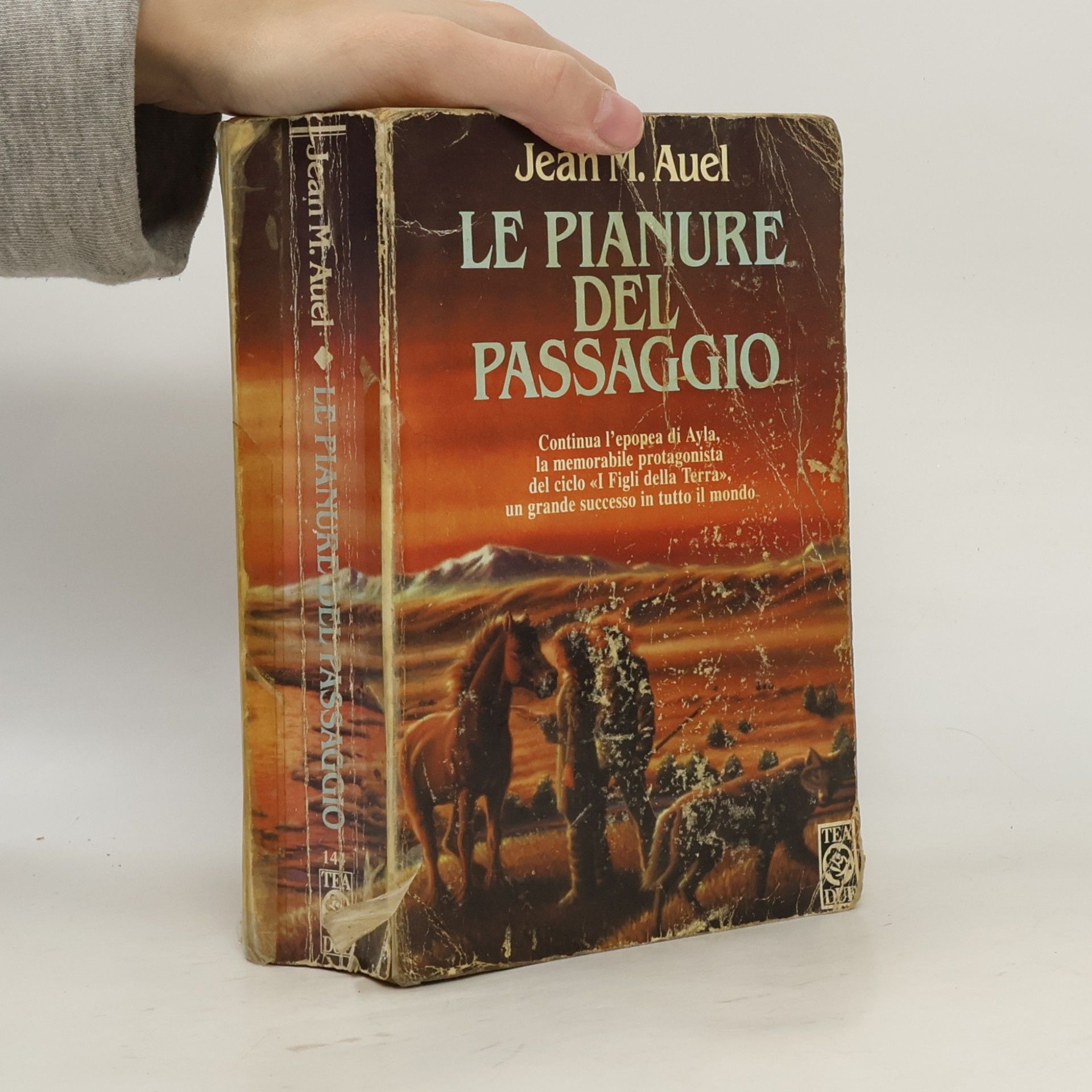 Saga dei figli della Terra 4. Le pianure del passaggio