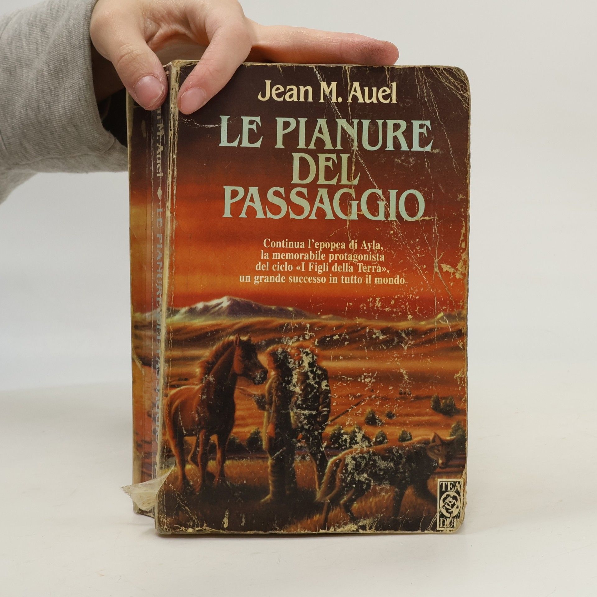 Roberta Rambelli Saga dei figli della Terra 4. Le pianure del passaggio