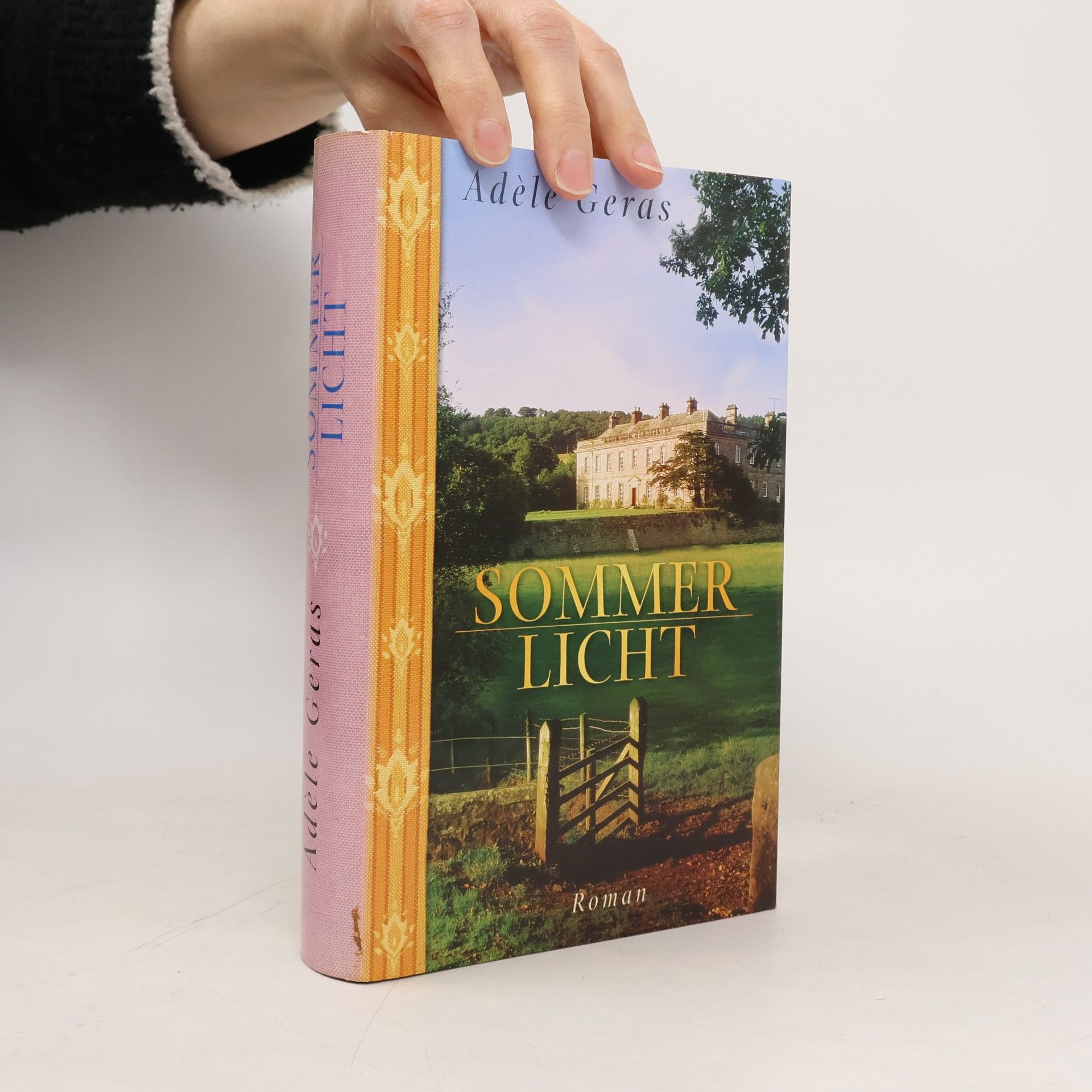 Adèle Geras Sommerlicht