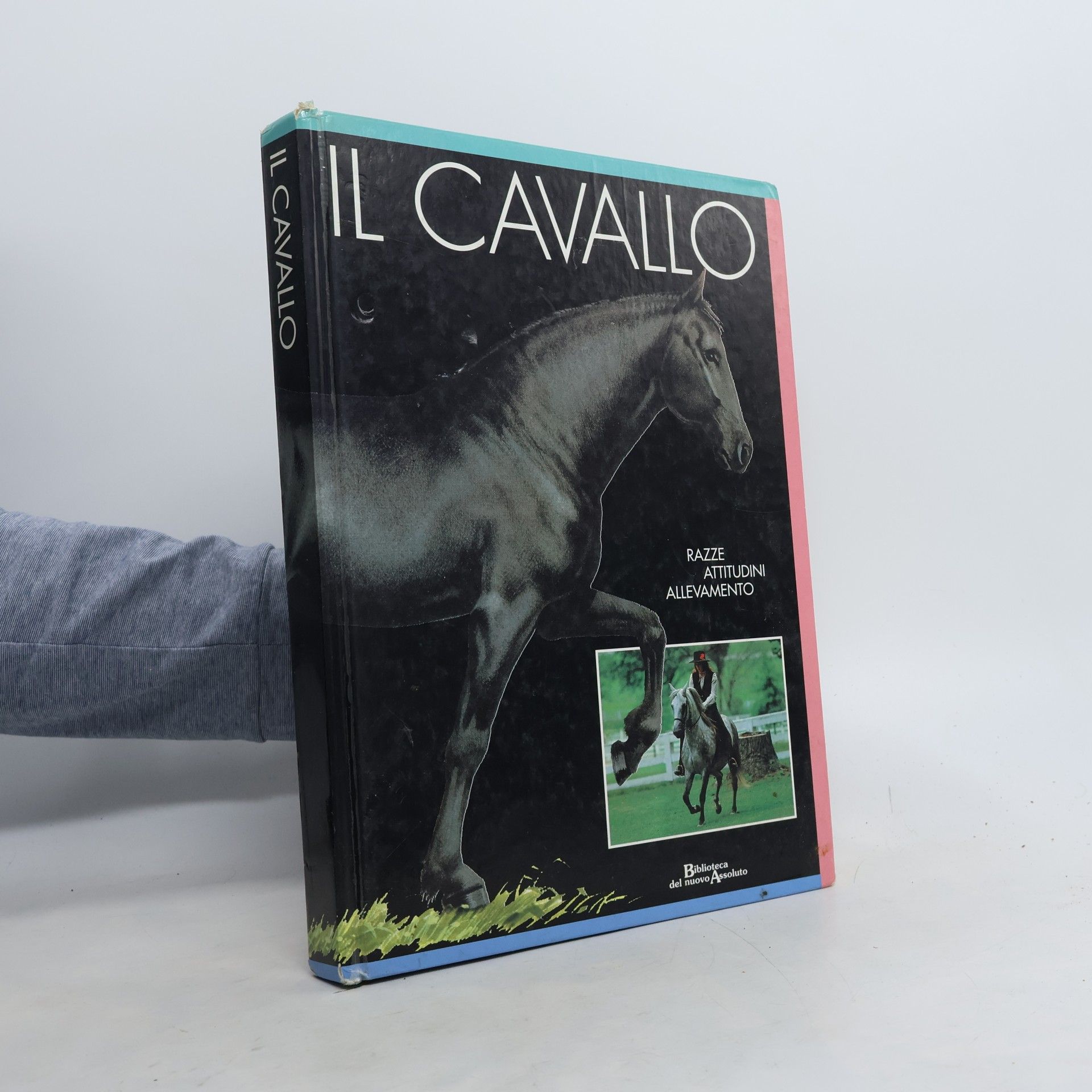 Il cavallo