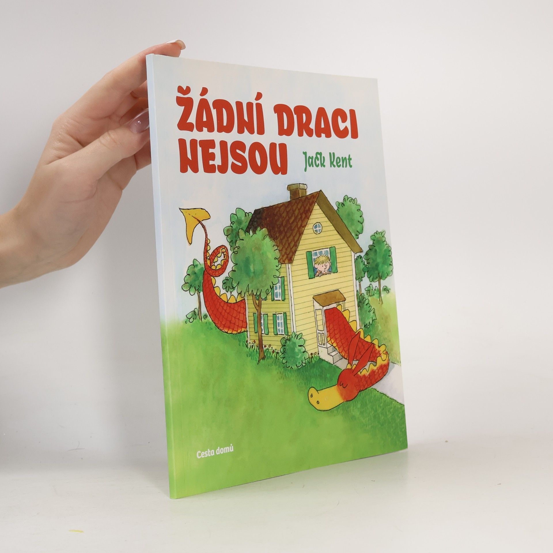 Žádní draci nejsou
