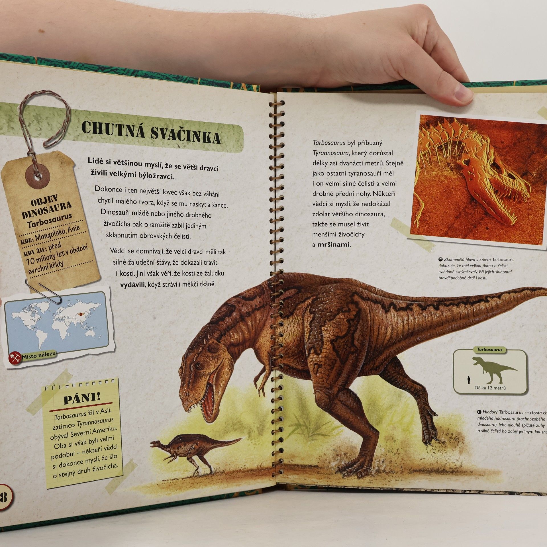 Rupert Matthews Velká kniha Dinosauři