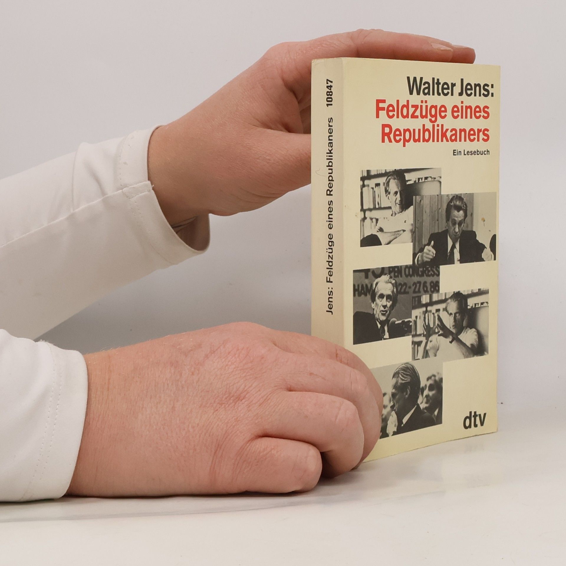 Feldzüge eines Republikaners