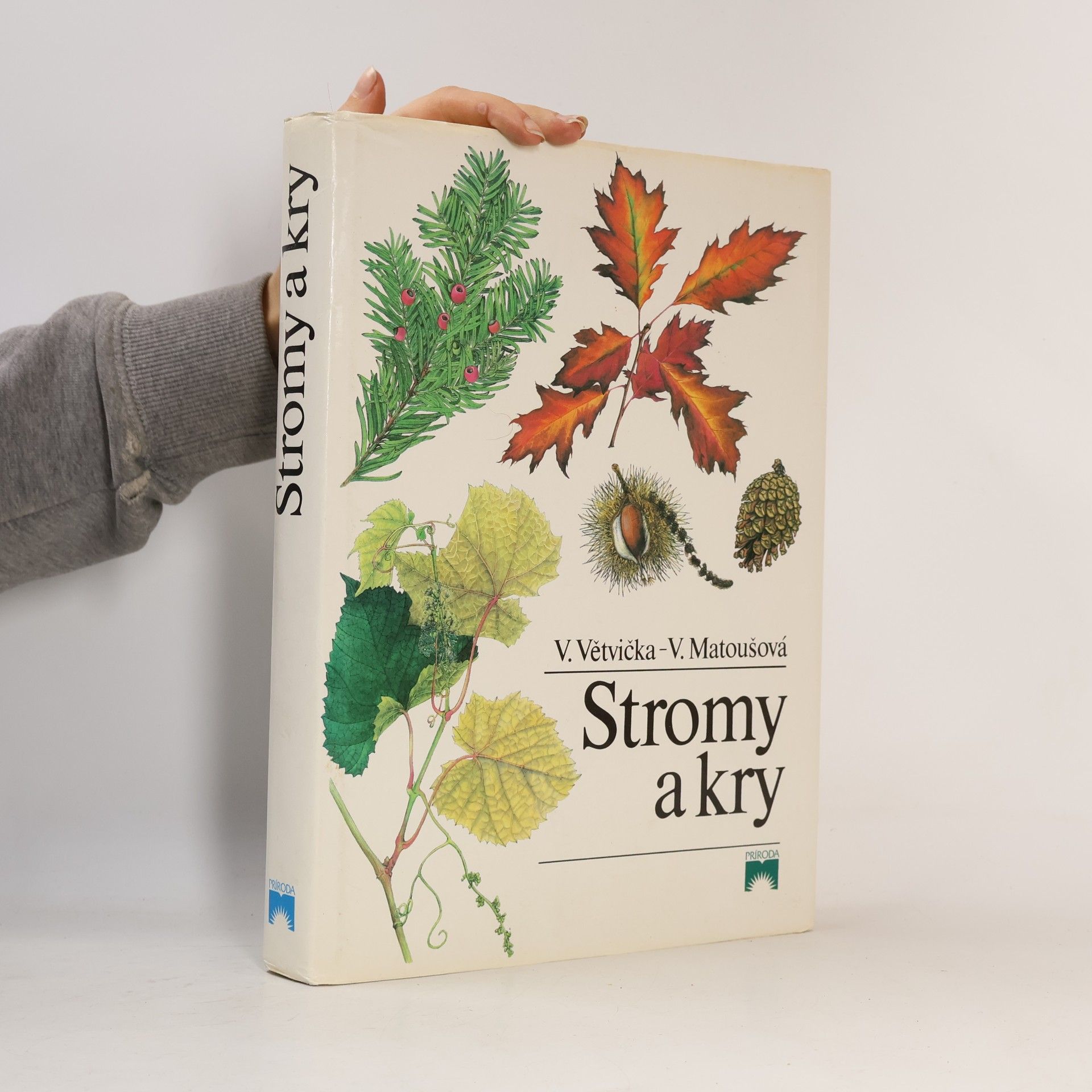 Vlasta Matoušová Stromy a kry