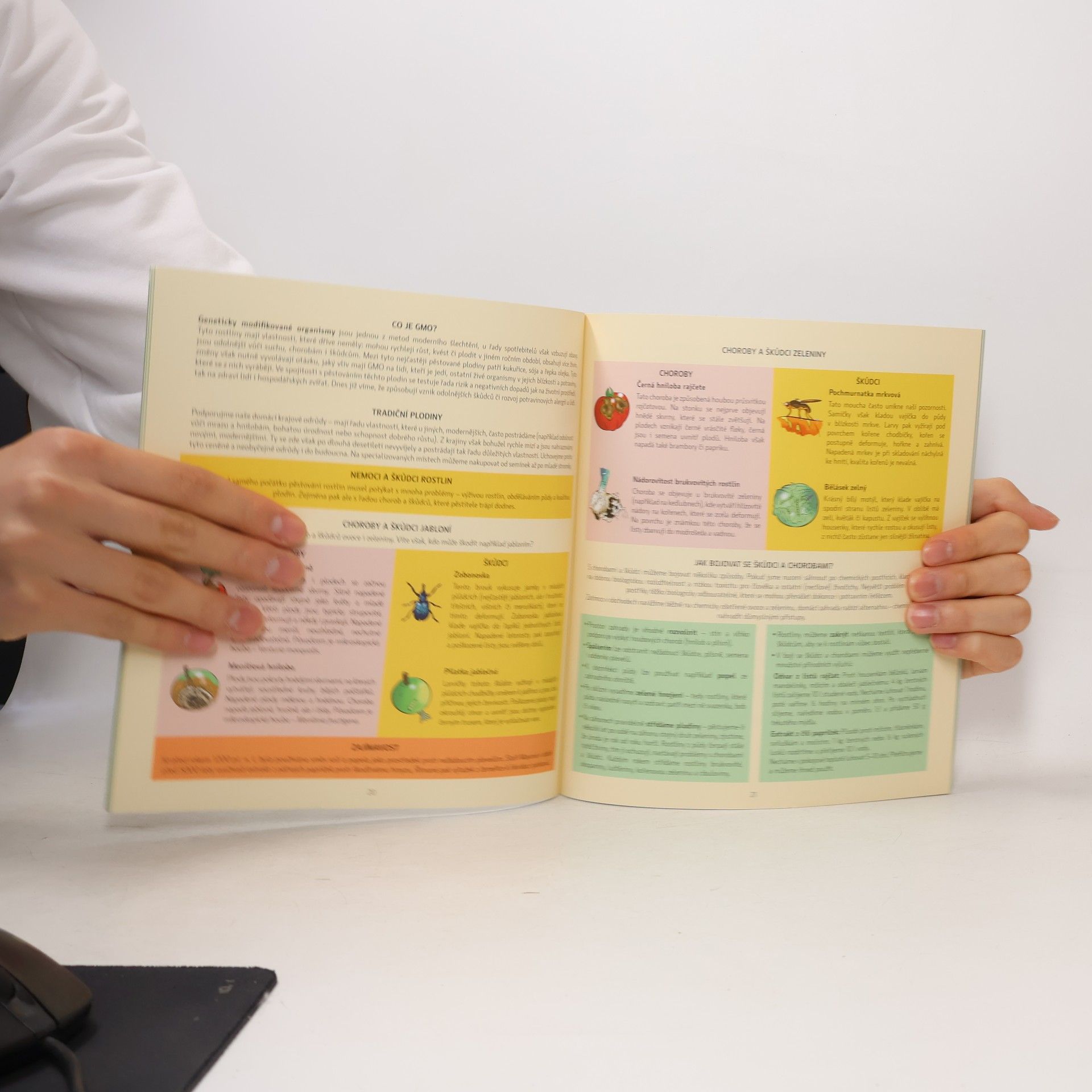 Various authors Rok s Vandou a Šampionem