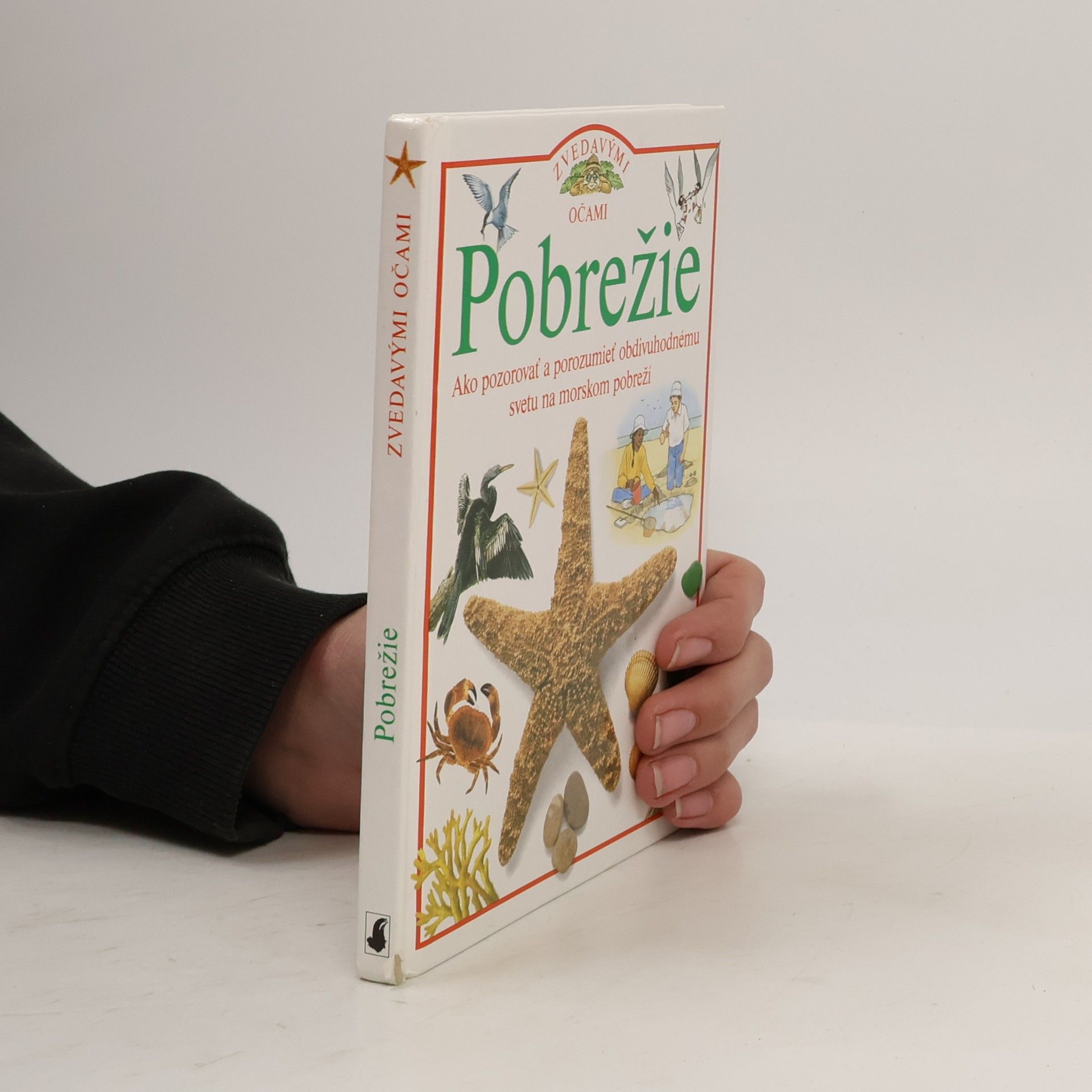 David Burnie Pobrežie