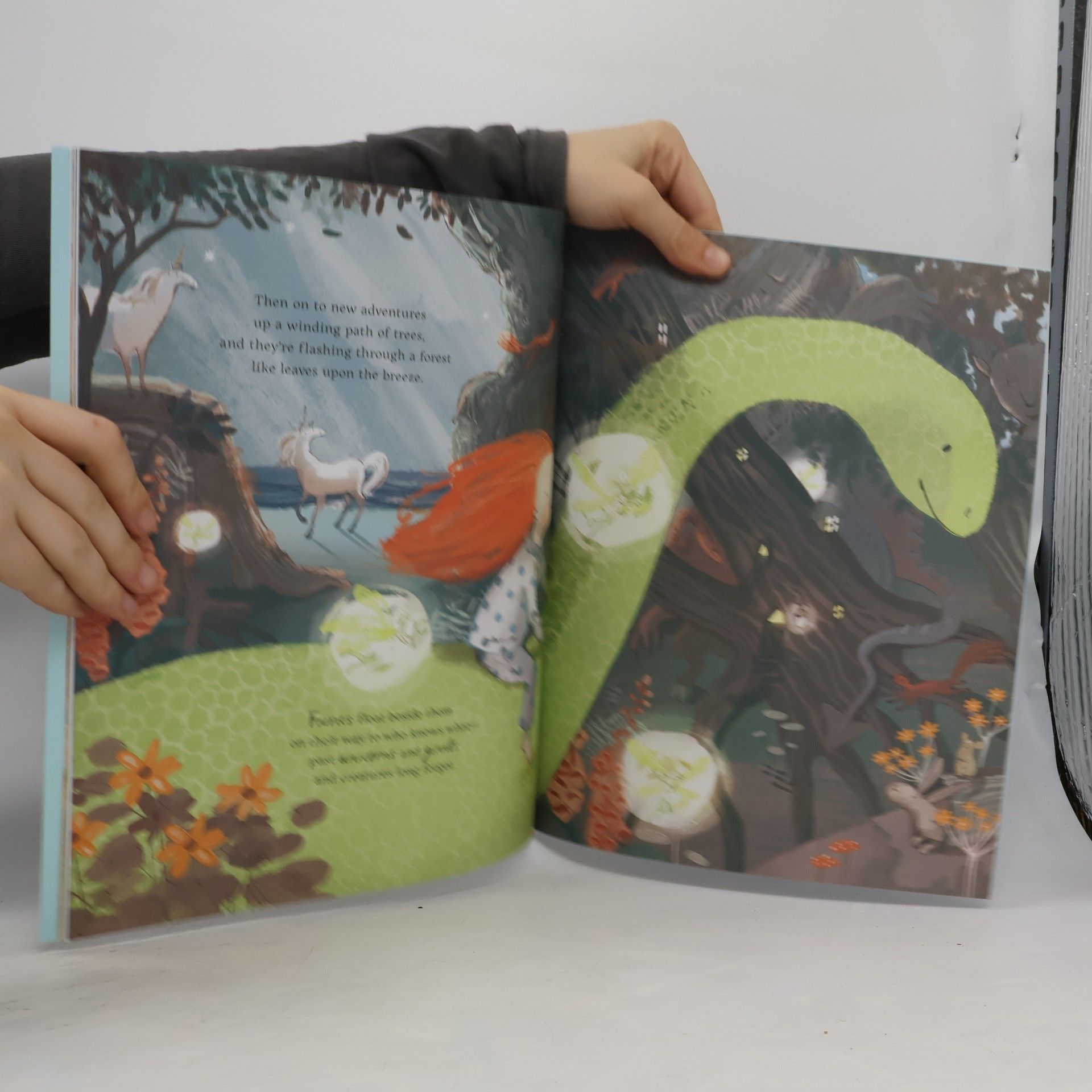 Hollie Hughes The Girl and the Dinosaur
