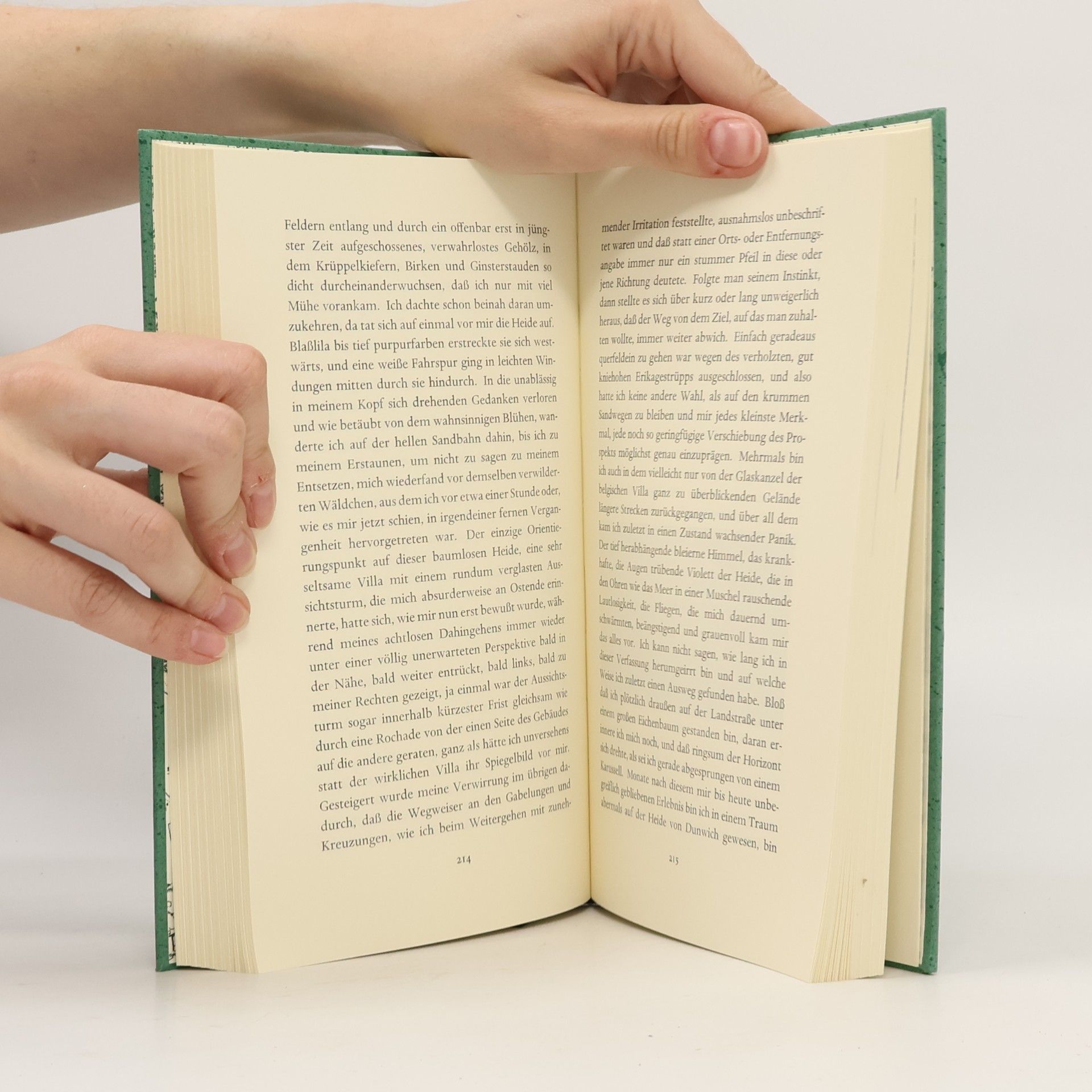 W. G. Sebald Die Ringe des Saturn