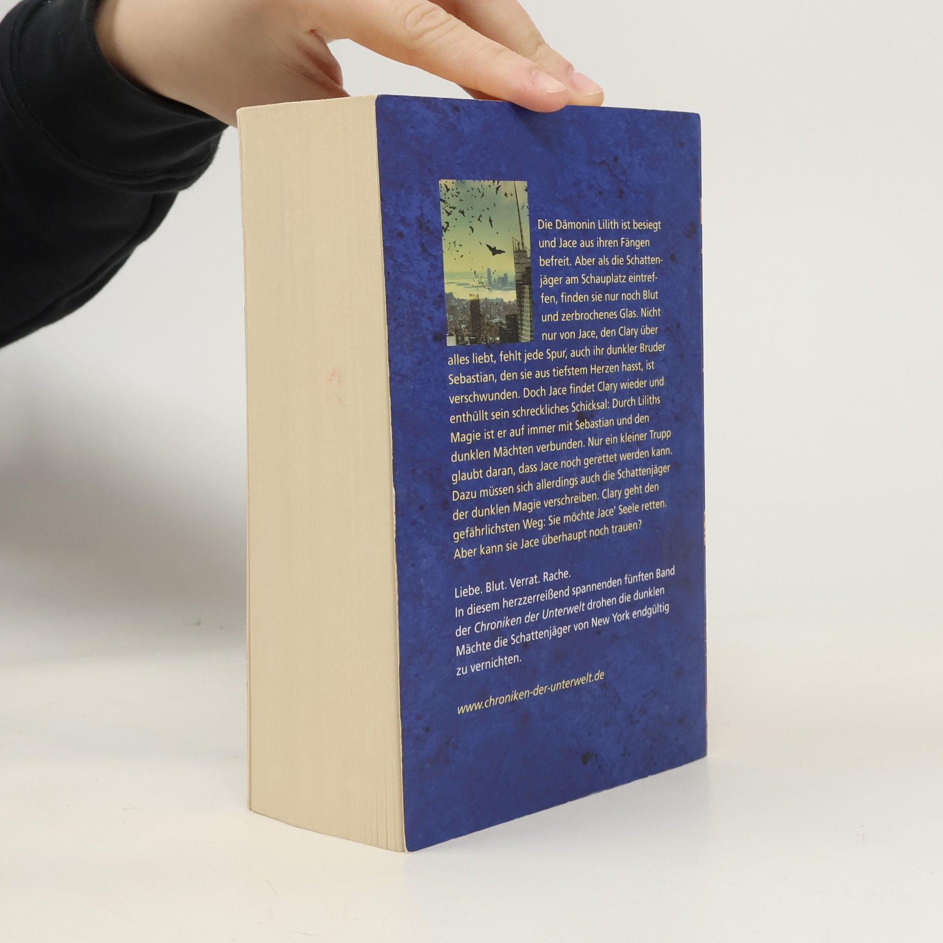 Cassandra Clare Chroniken der Unterwelt. City of Lost Souls