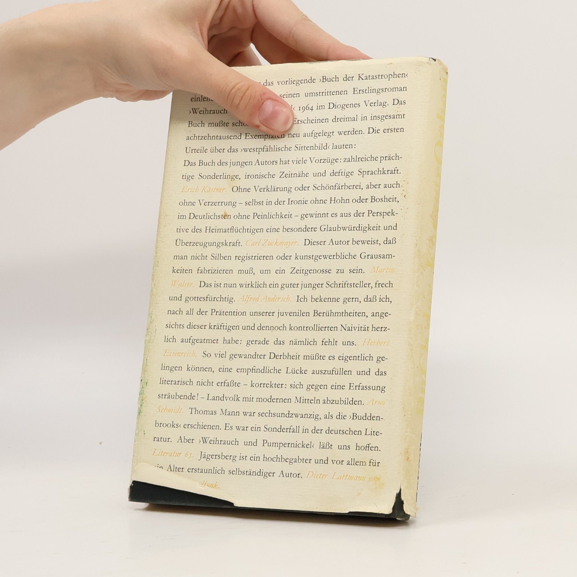 Hermann Harry Schmitz BuCh der Katastrophen