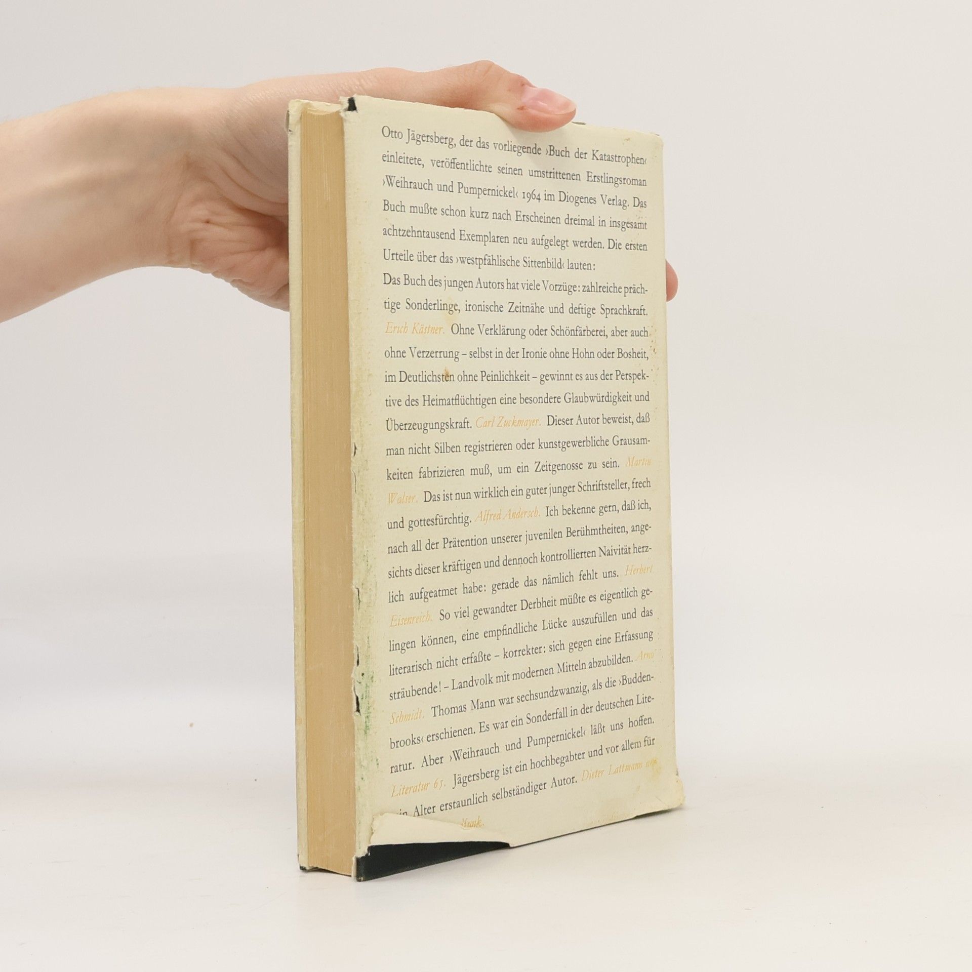 Hermann Harry Schmitz BuCh der Katastrophen