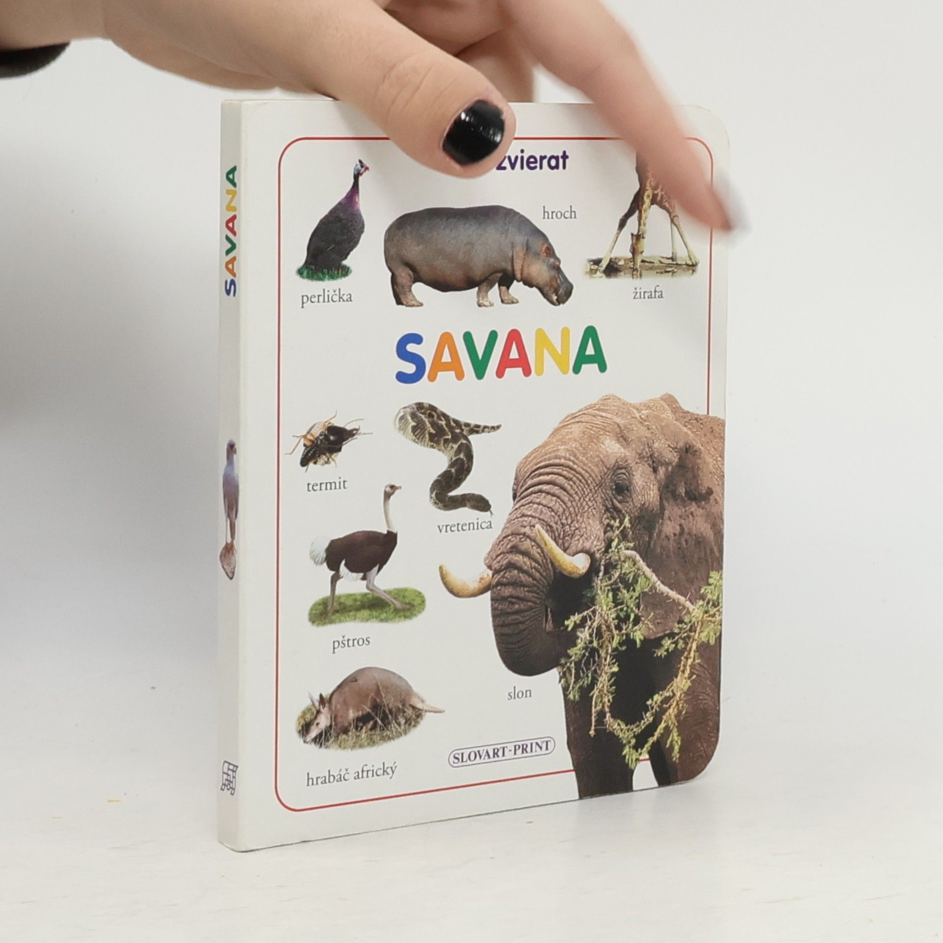 Various authors Savana