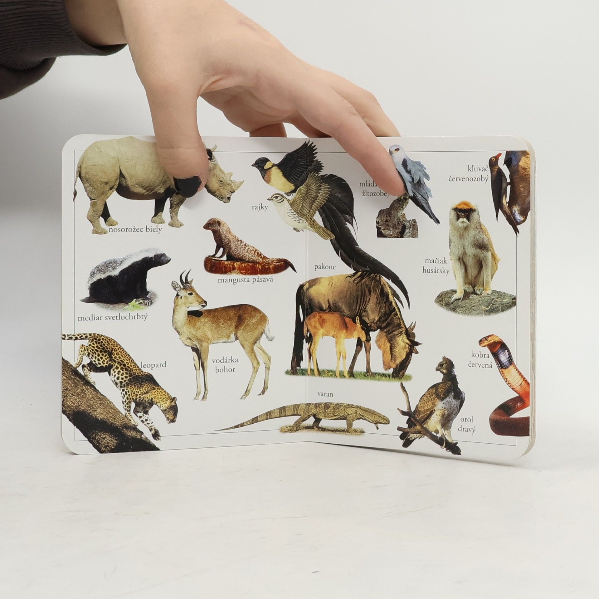 Various authors Savana
