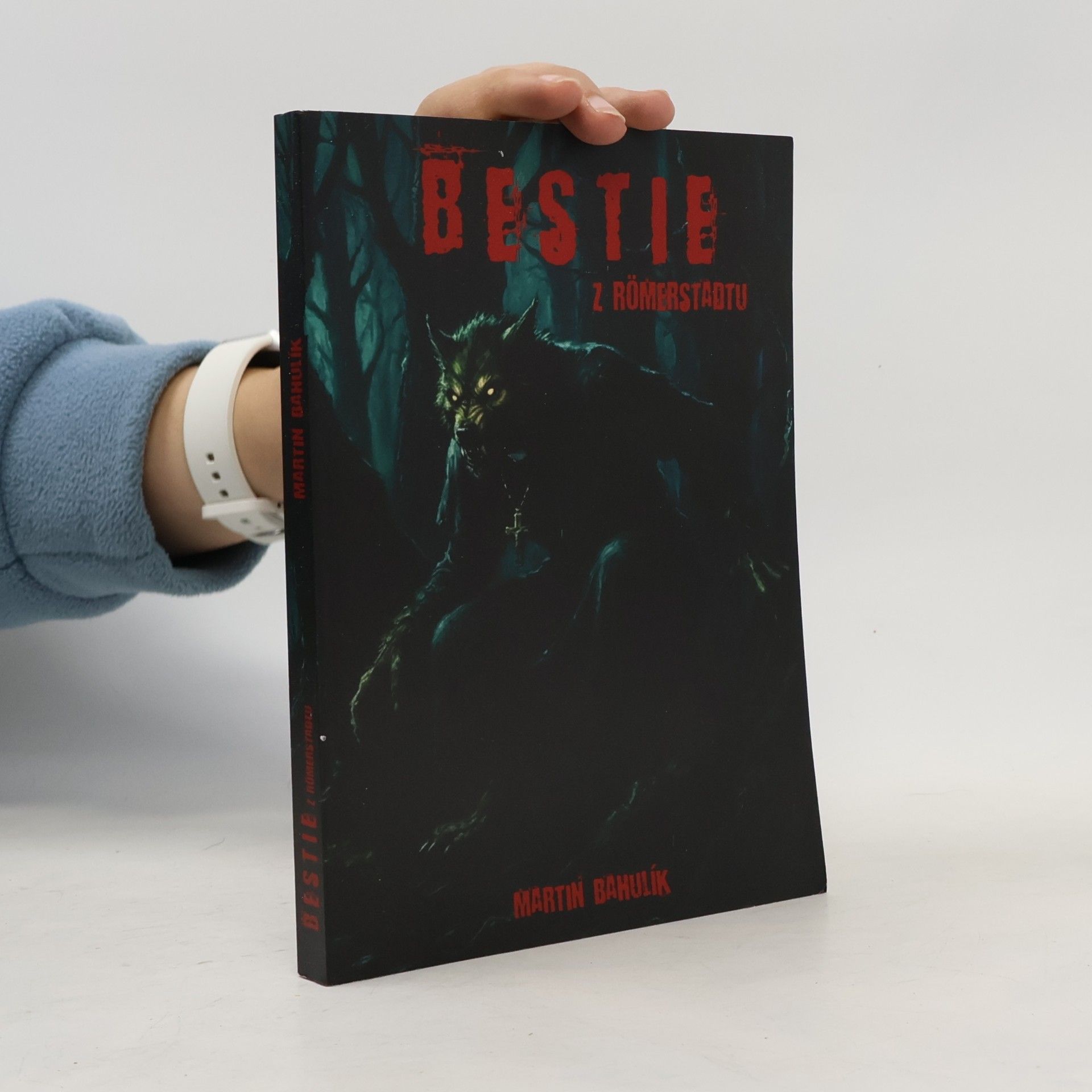 Martin Bahulík Bestie z Römerstadtu