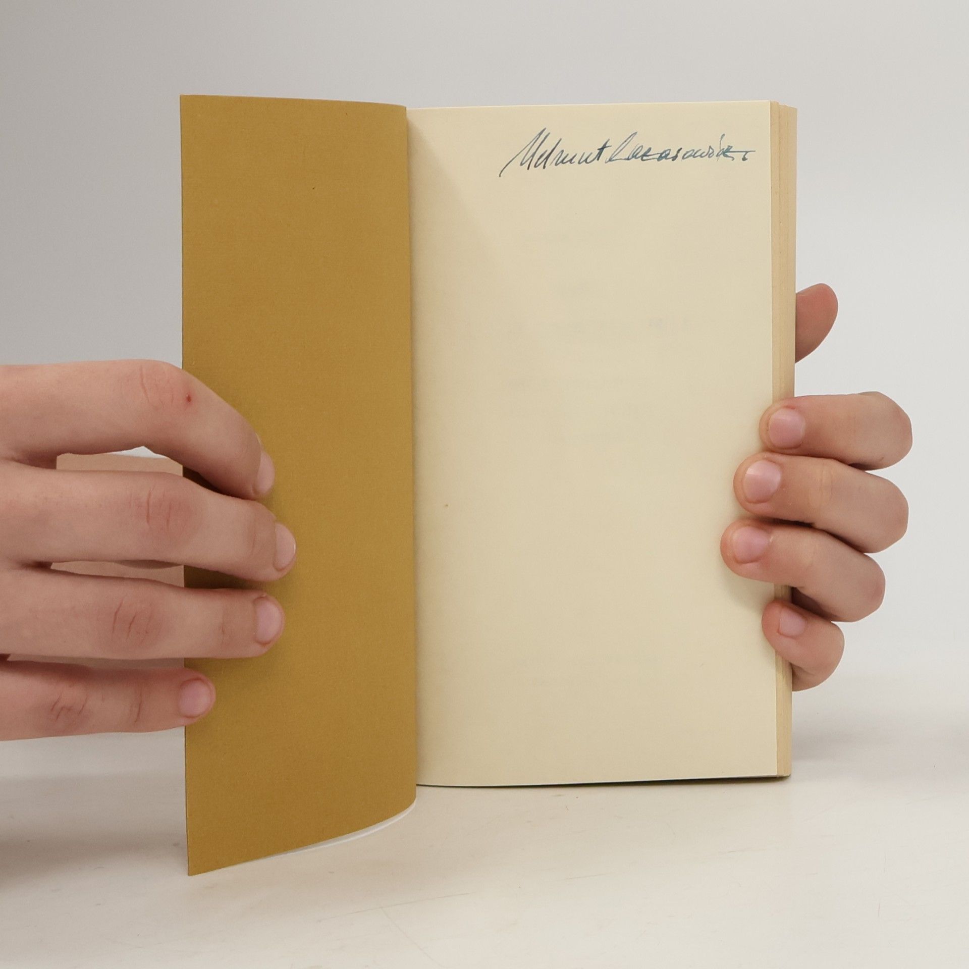 Walter Görlitz Idee und Geschichte