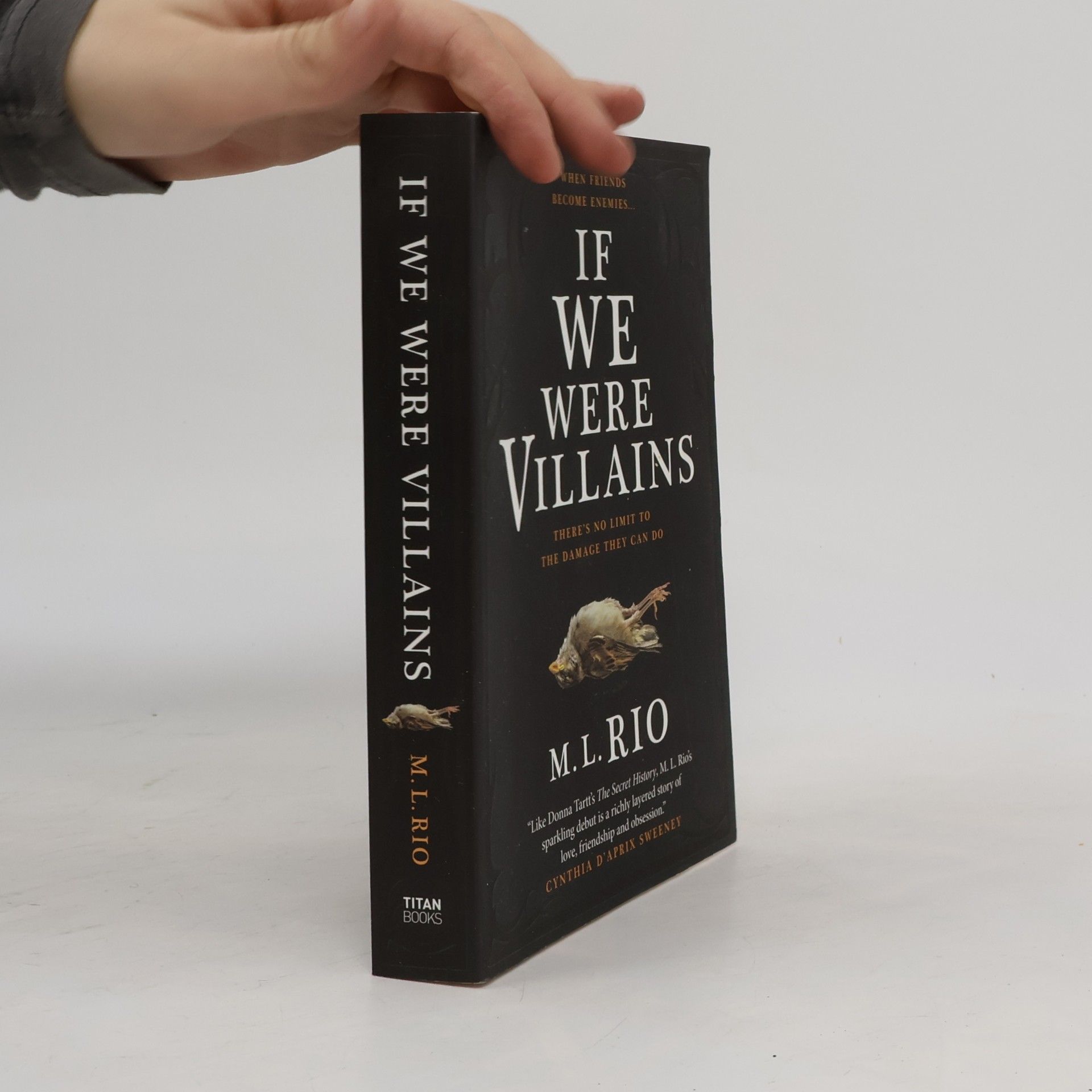 If We Were Villains