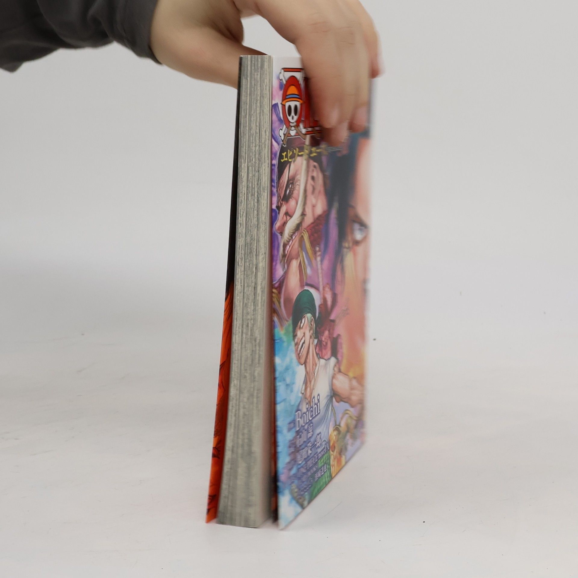 Boichi One Piece