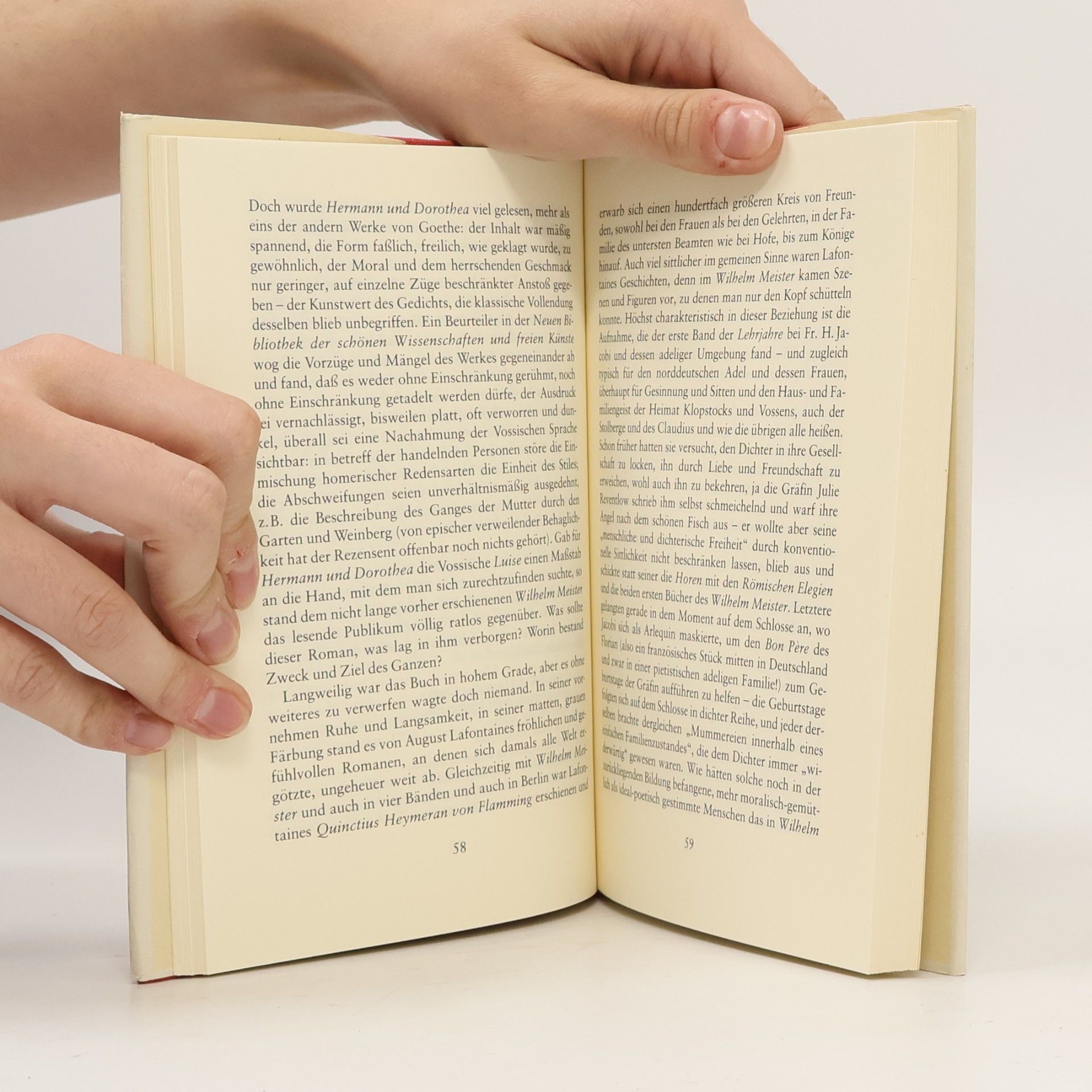 Victor Hehn Goethe und das Publikum