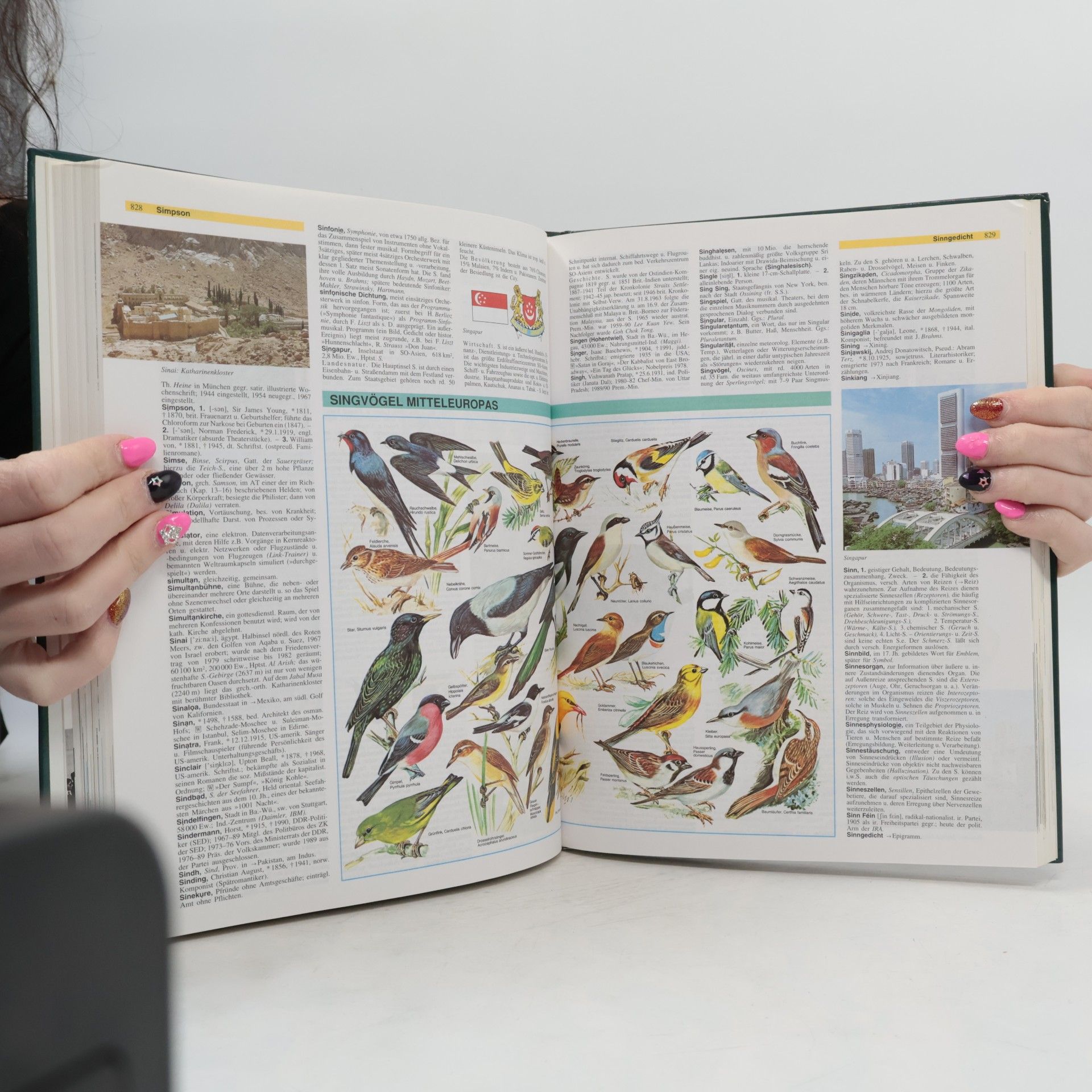 Various authors Das grosse illustrierte Lexikon 3