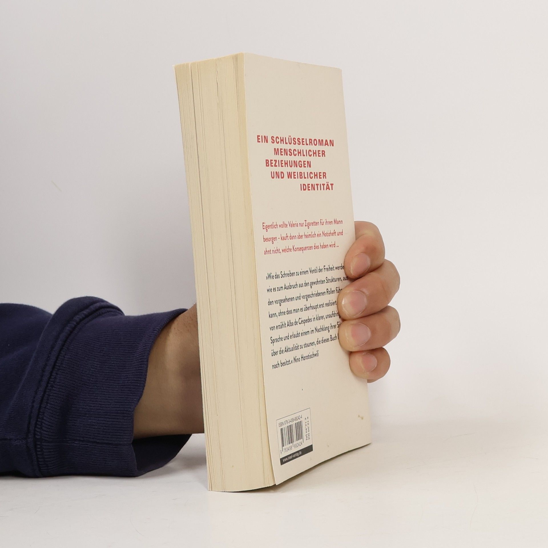 Alba de Céspedes Das verbotene Notizbuch
