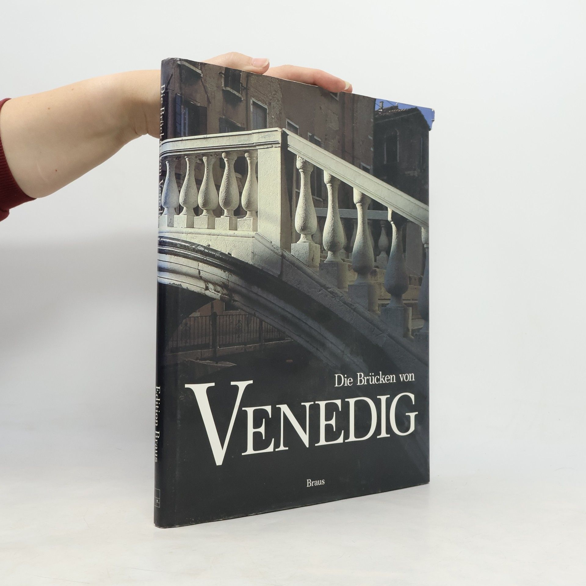 Die Brücken von Venedig