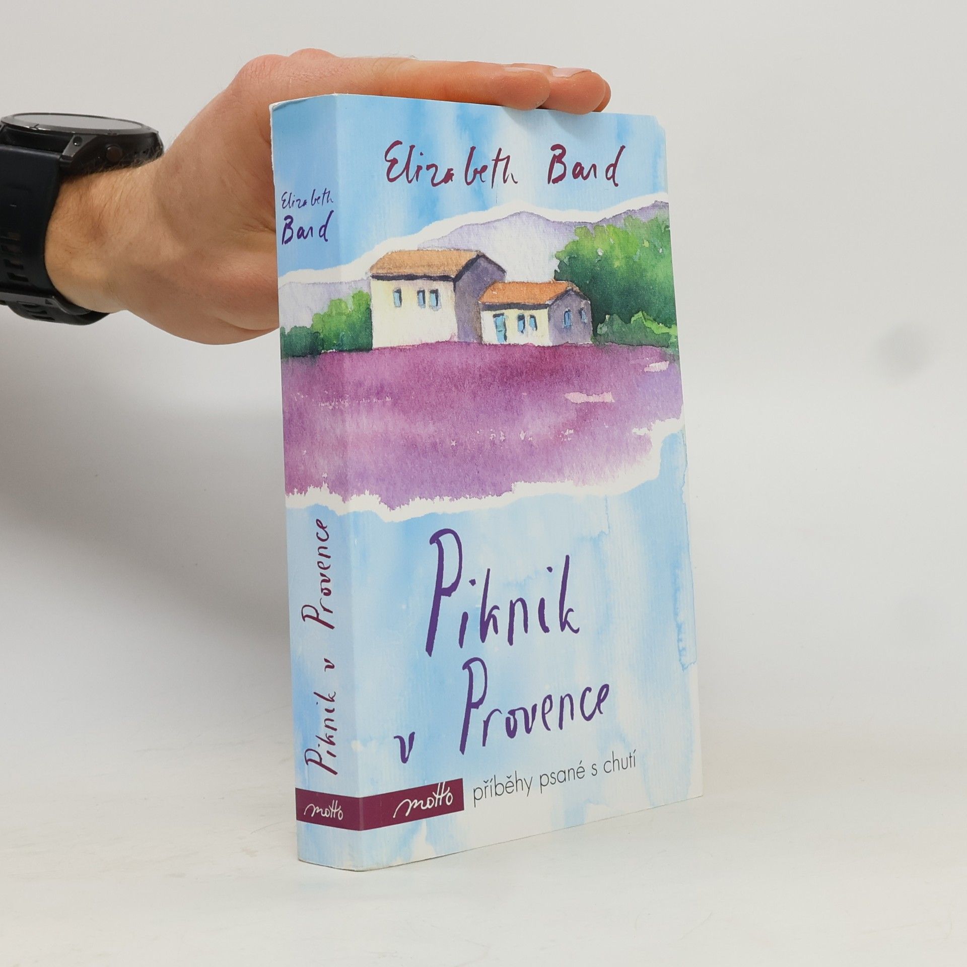 Piknik v Provence