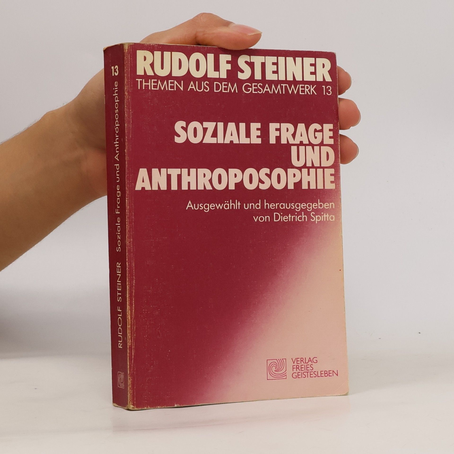 Rudolf Steiner Themen aus dem Gesamtwerk 13: Soziale Frage und Anthroposophie
