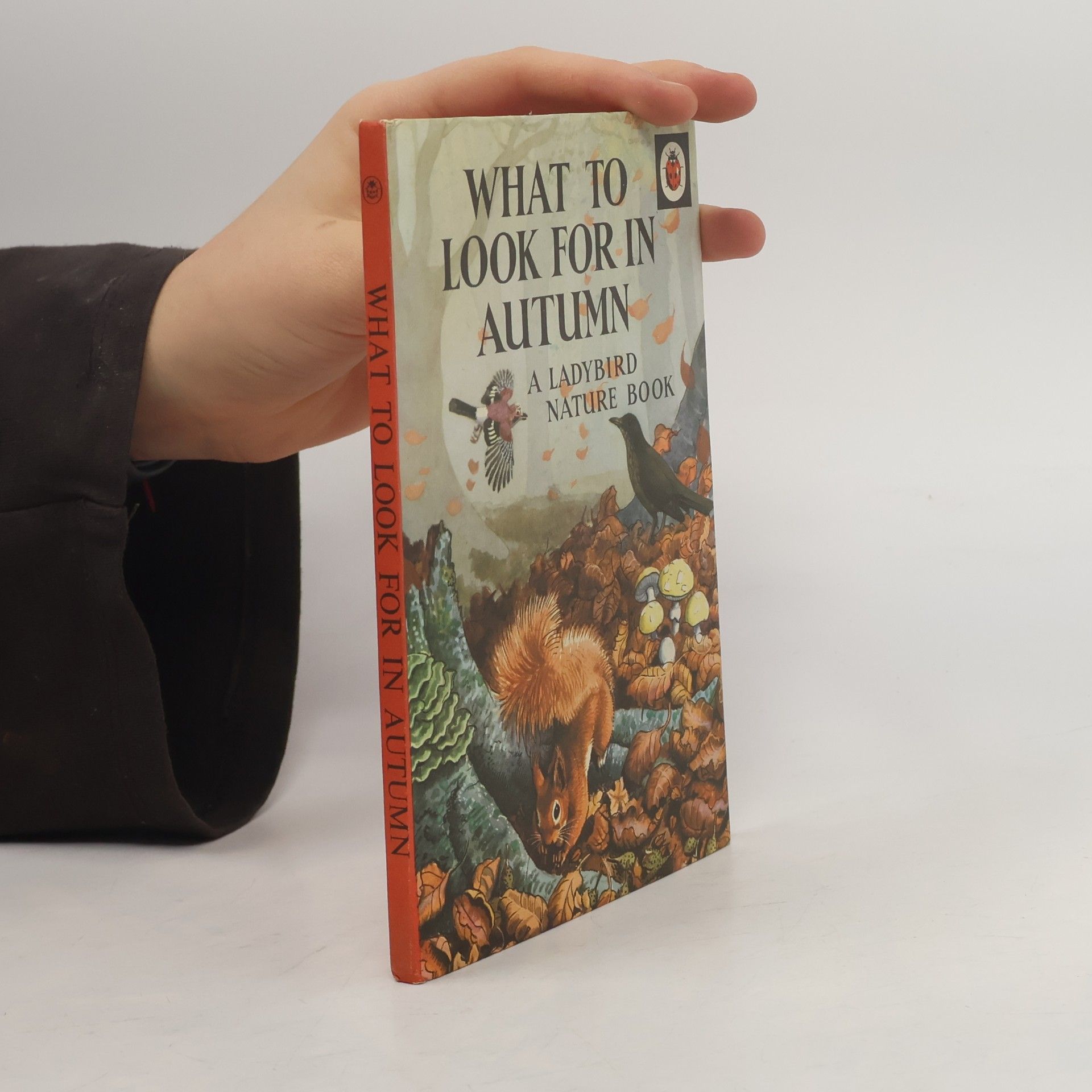 What to Look For in Autumn