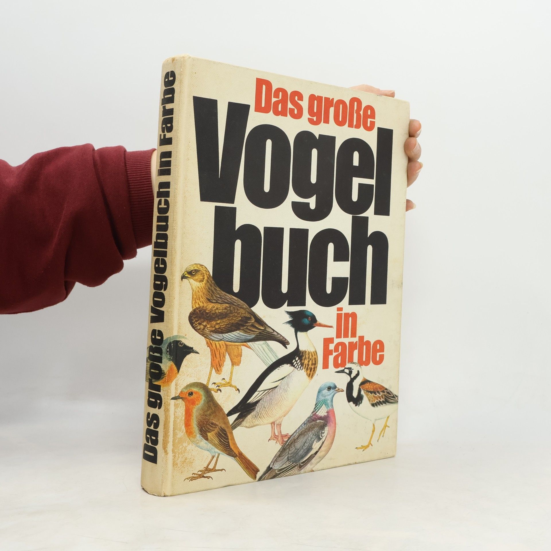 Das Große Vogelbuch in Farbe