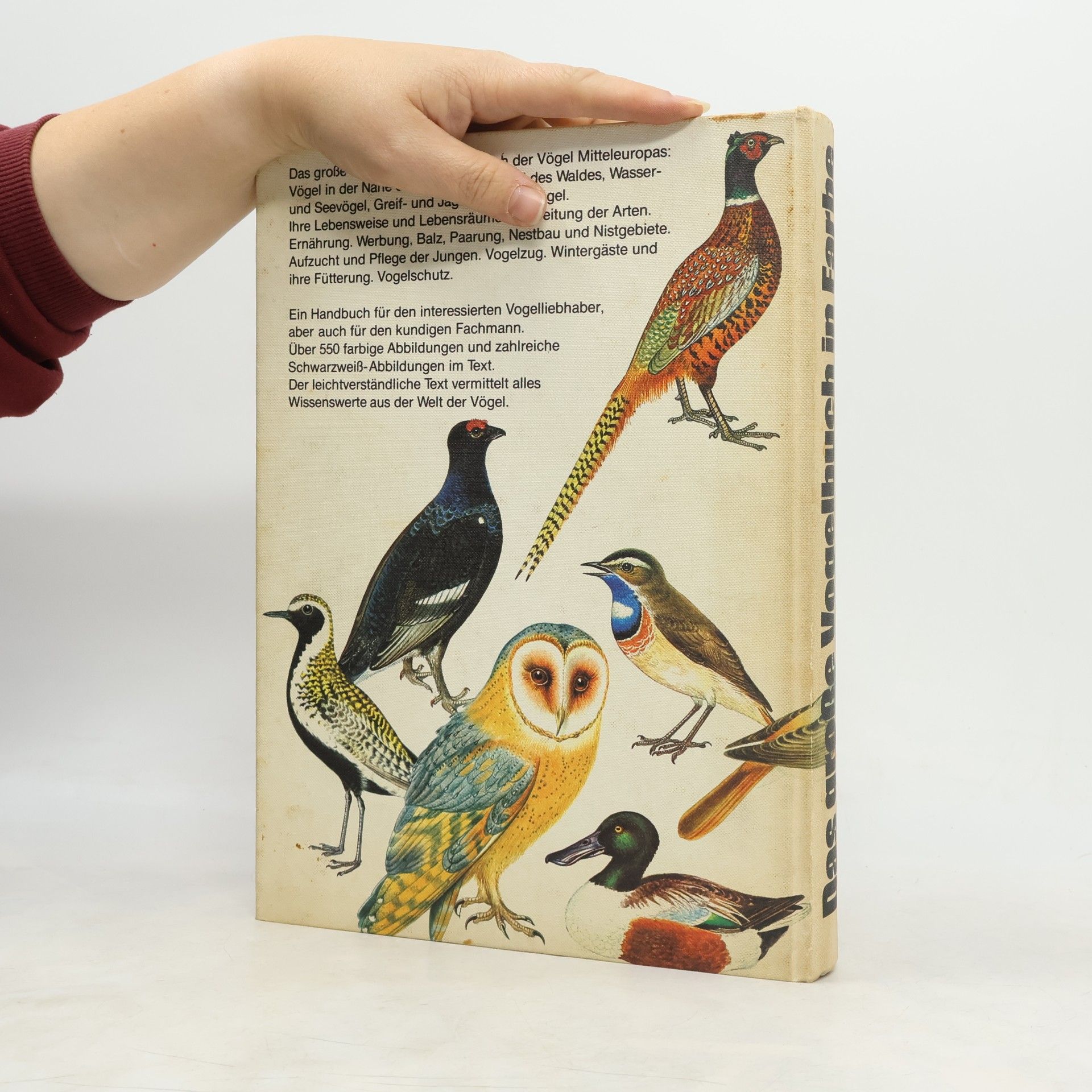J. Felix Das Große Vogelbuch in Farbe