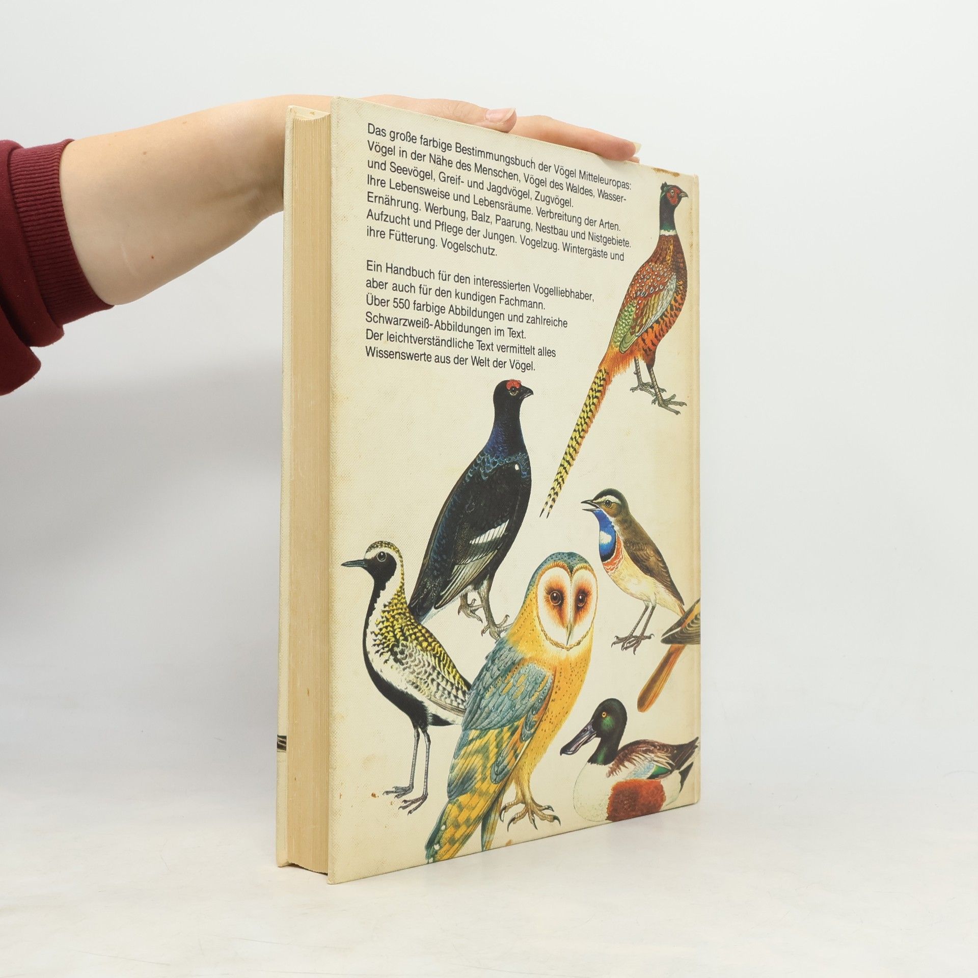 J. Felix Das Große Vogelbuch in Farbe