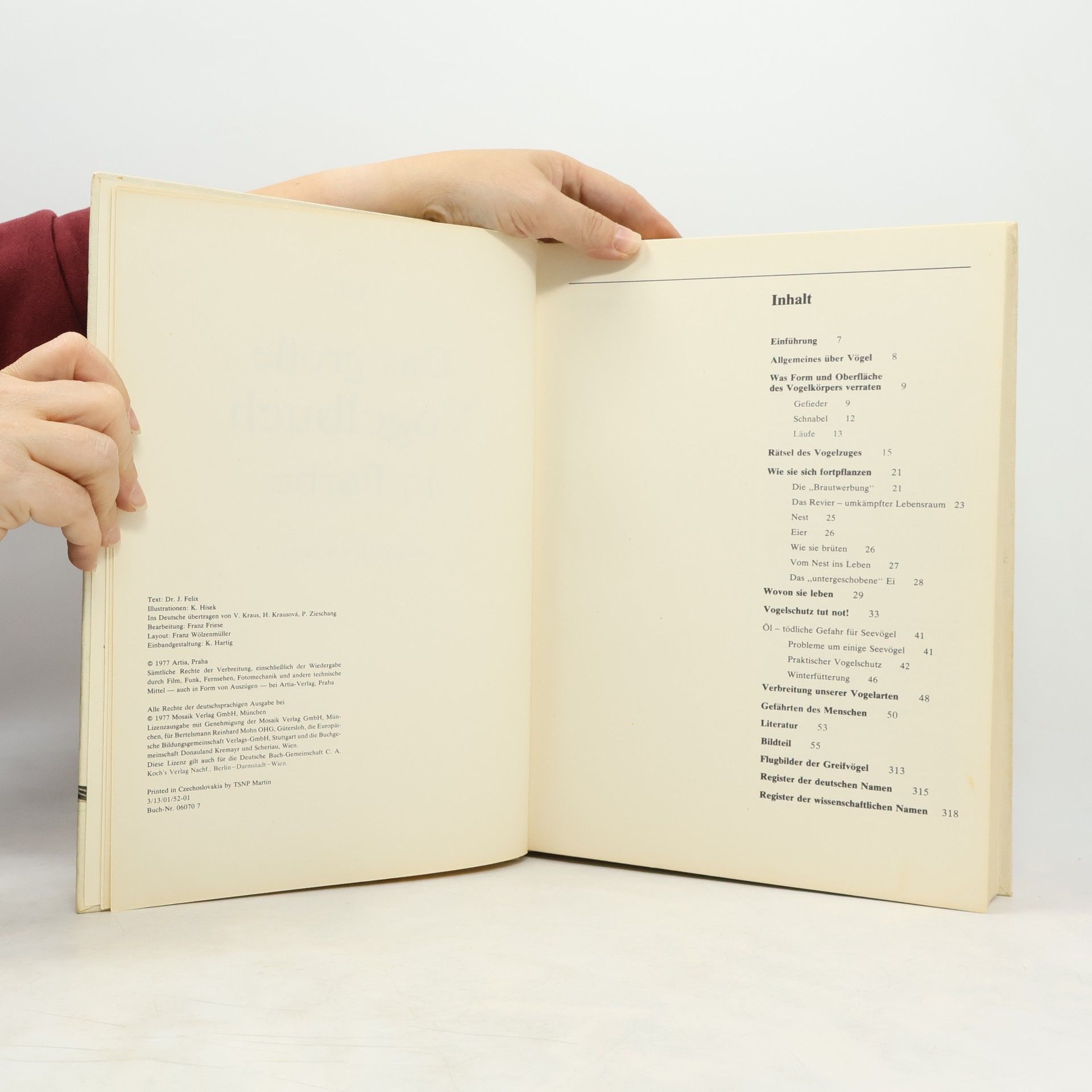 J. Felix Das Große Vogelbuch in Farbe