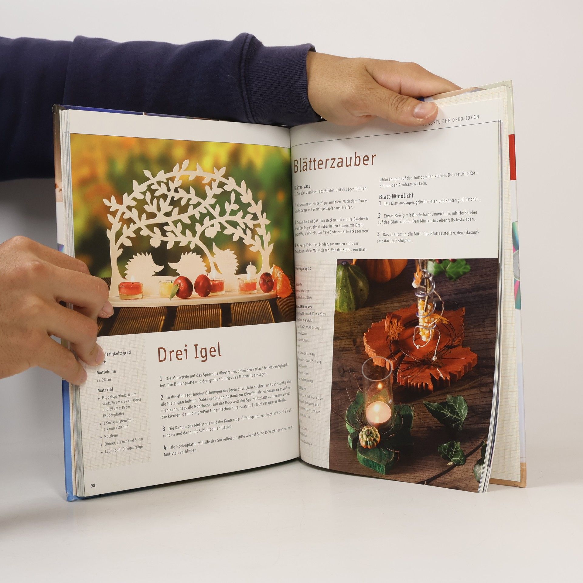 Autorenkollektiv Das clevere Laubsäge-Buch