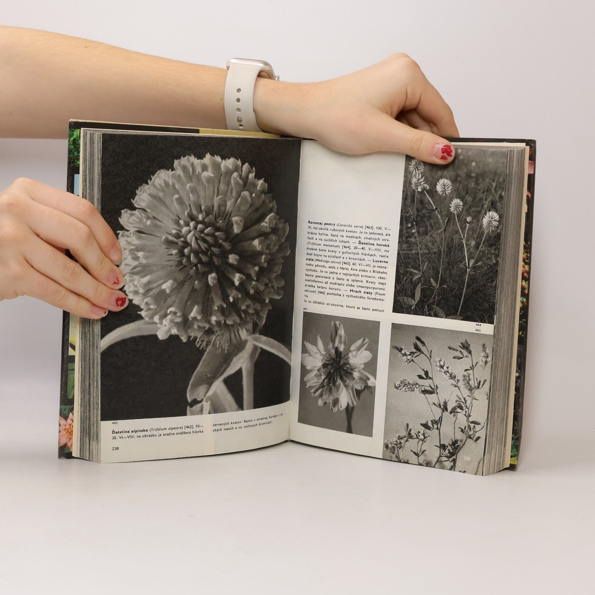 Novák F. A. Velký obrazový atlas rastlín