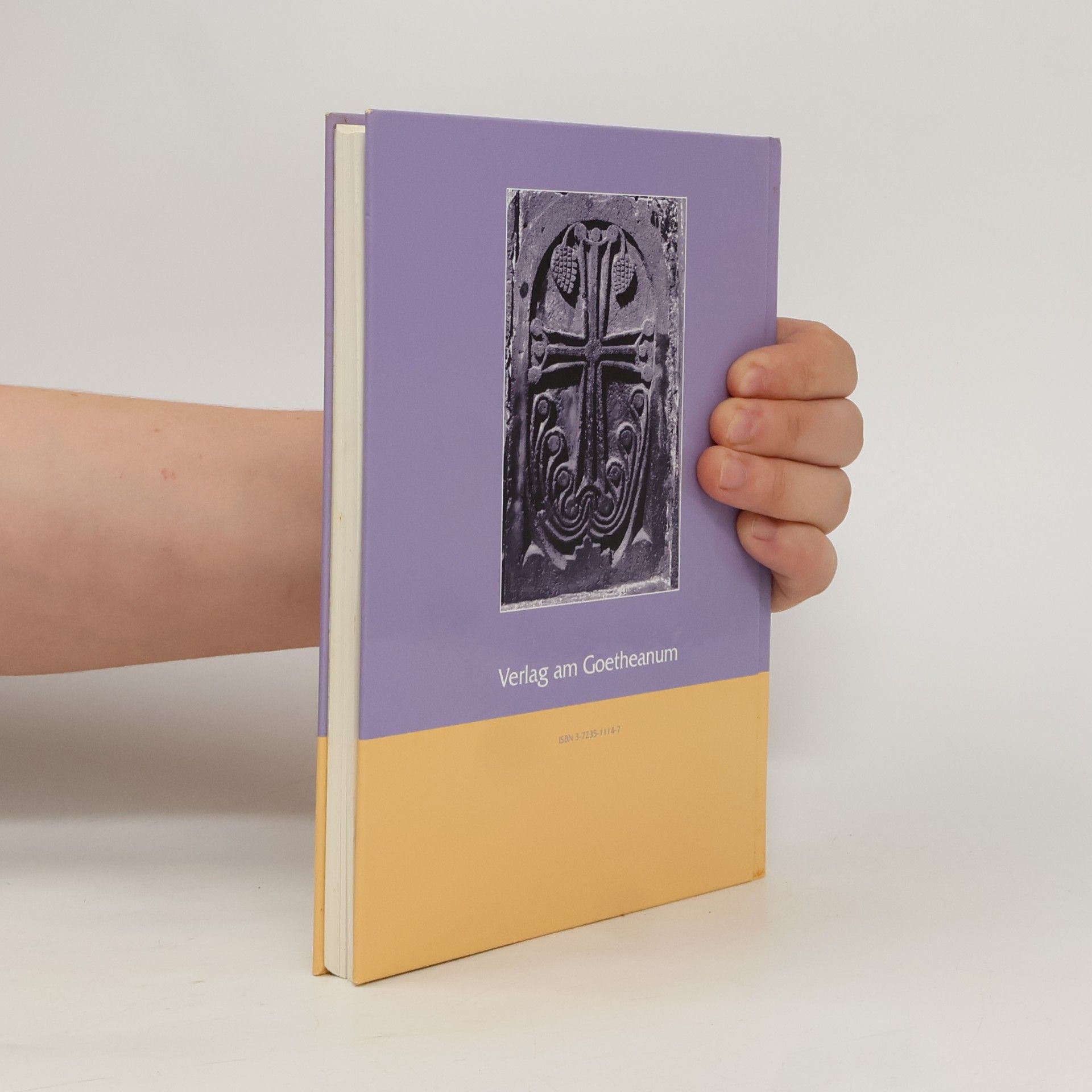 Peter Selg Krankheit und Christus-Erkenntniss