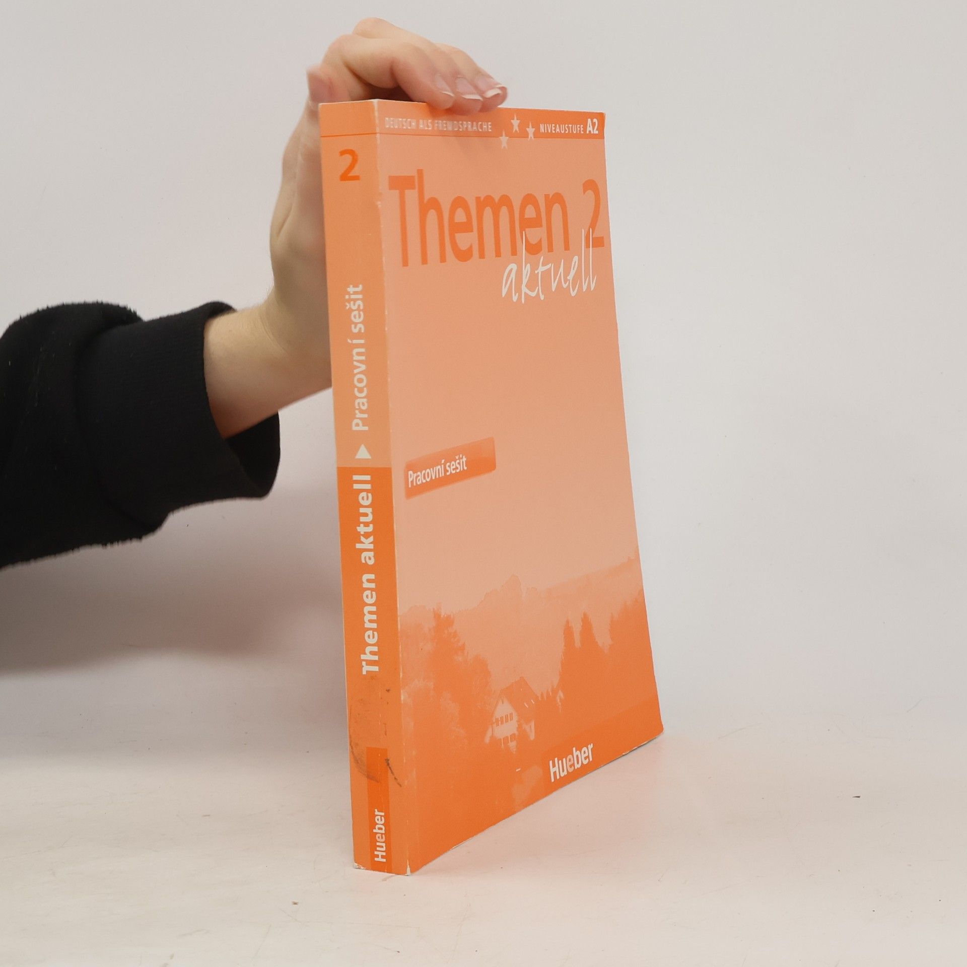 Themen aktuell 2 : pracovní sešit