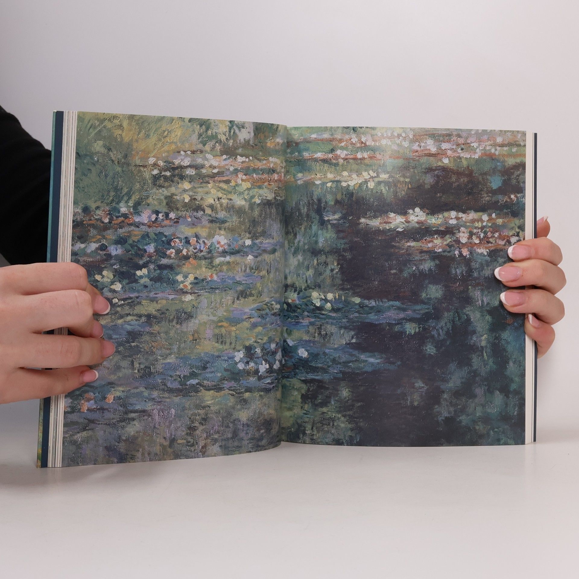 Kolektiv autorů Monet