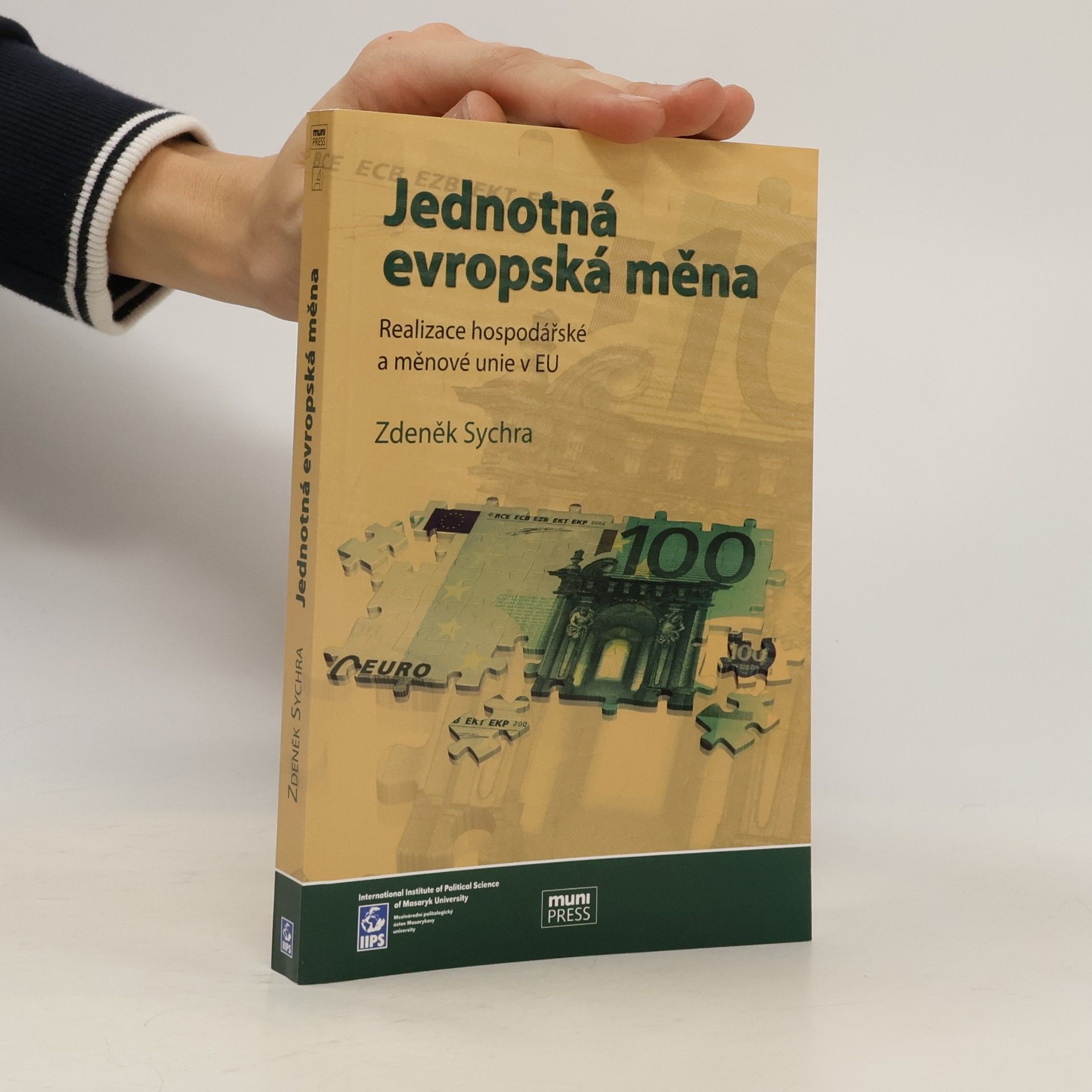 Jednotná evropská měna, realizace hospodářské a měnové unie v EU