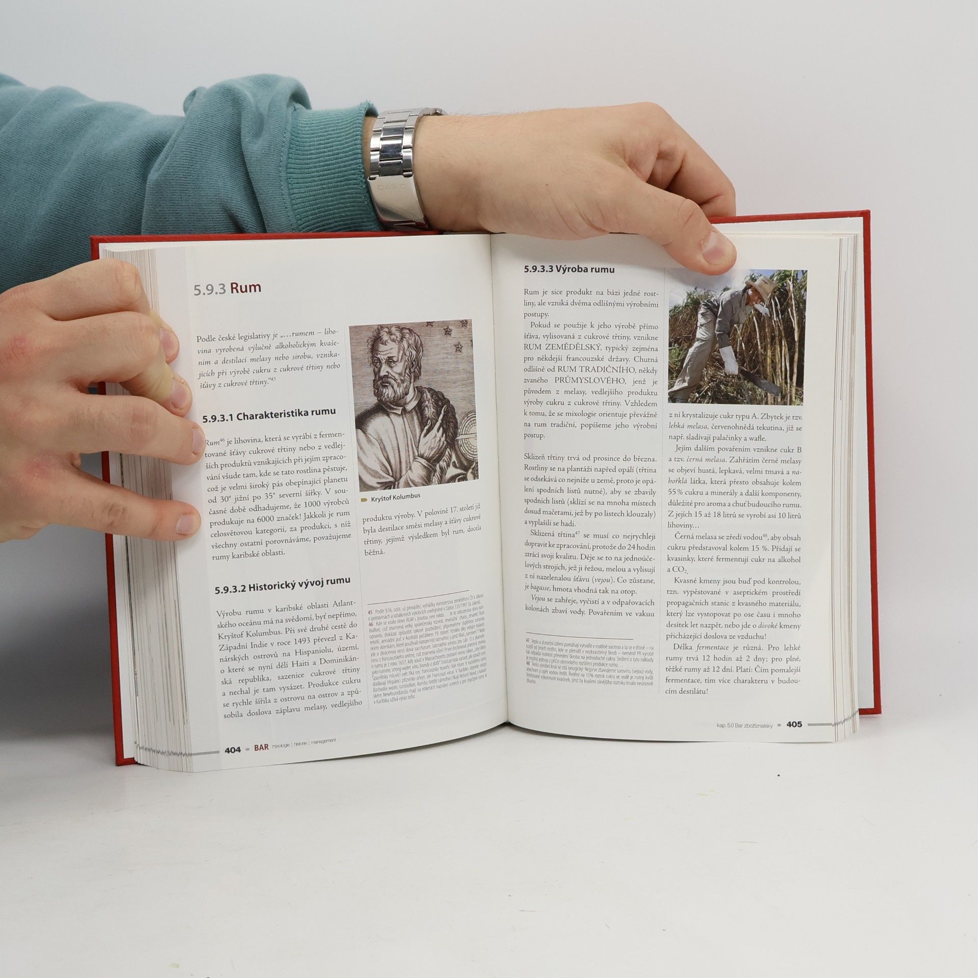 Alexander Mikšovic Bar. Mixologie, historie, management