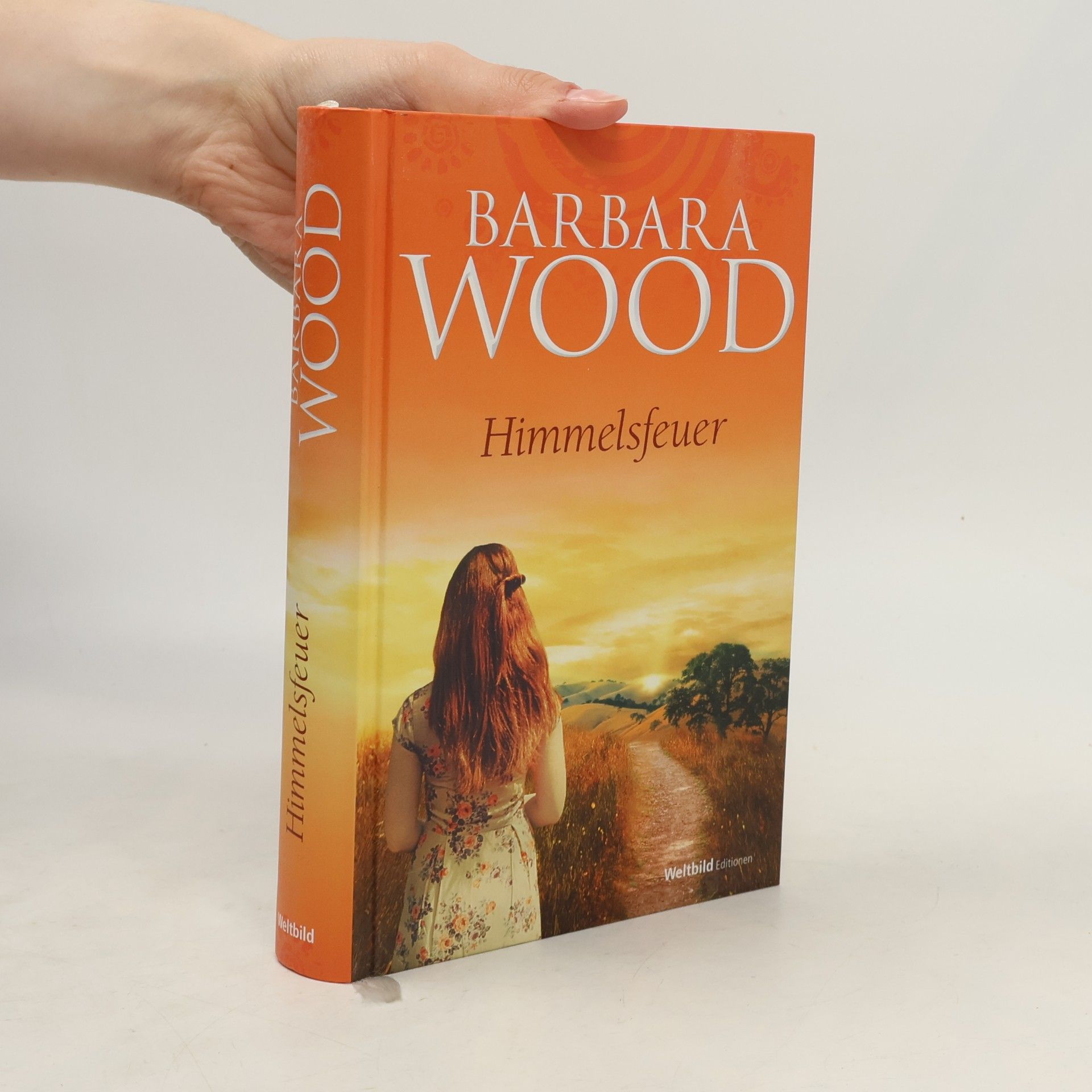 Barbara Wood Himmelsfeuer