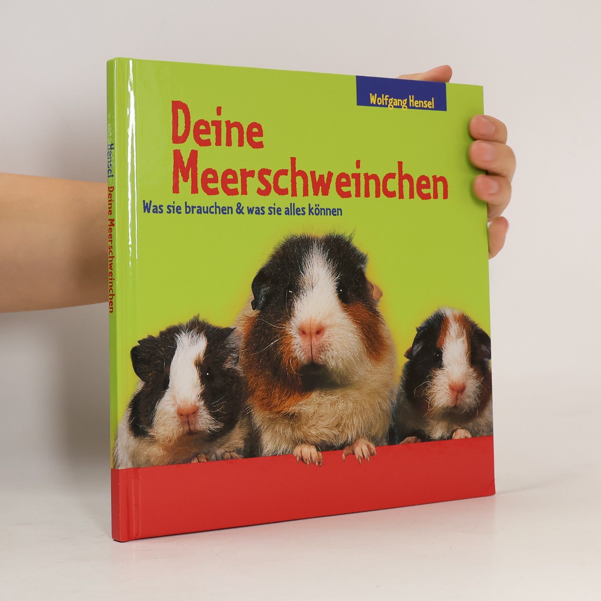 Deine Meerschweinchen