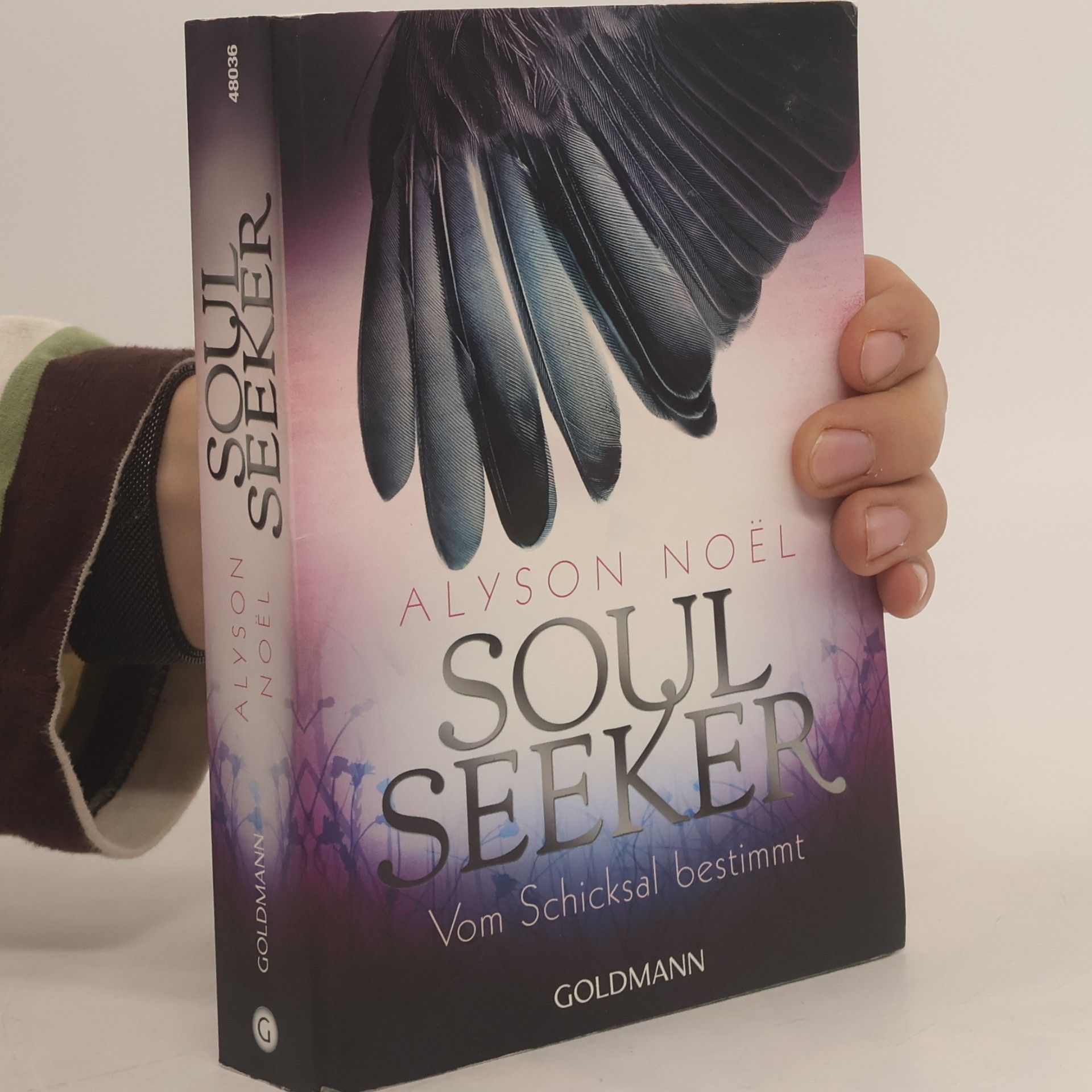 Soul Seeker : Vom Schicksal bestimmt