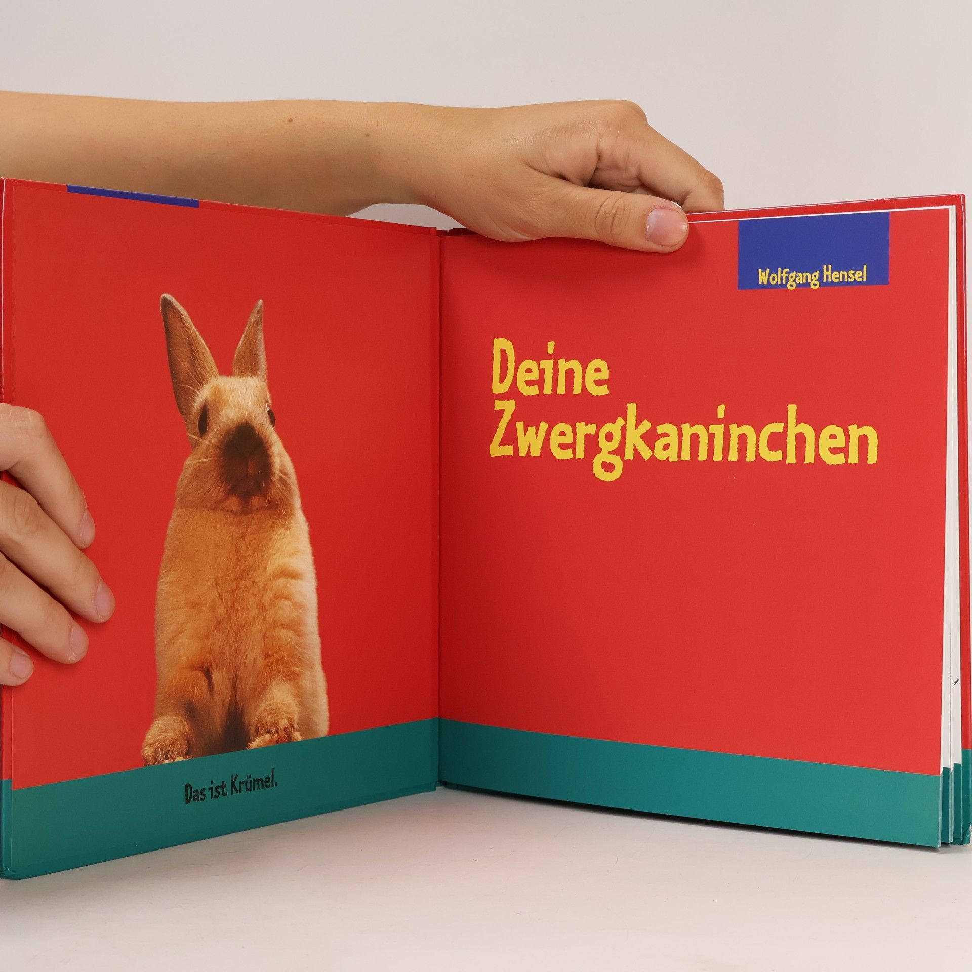 Wolfgang Hensel Deine Zwergkaninchen