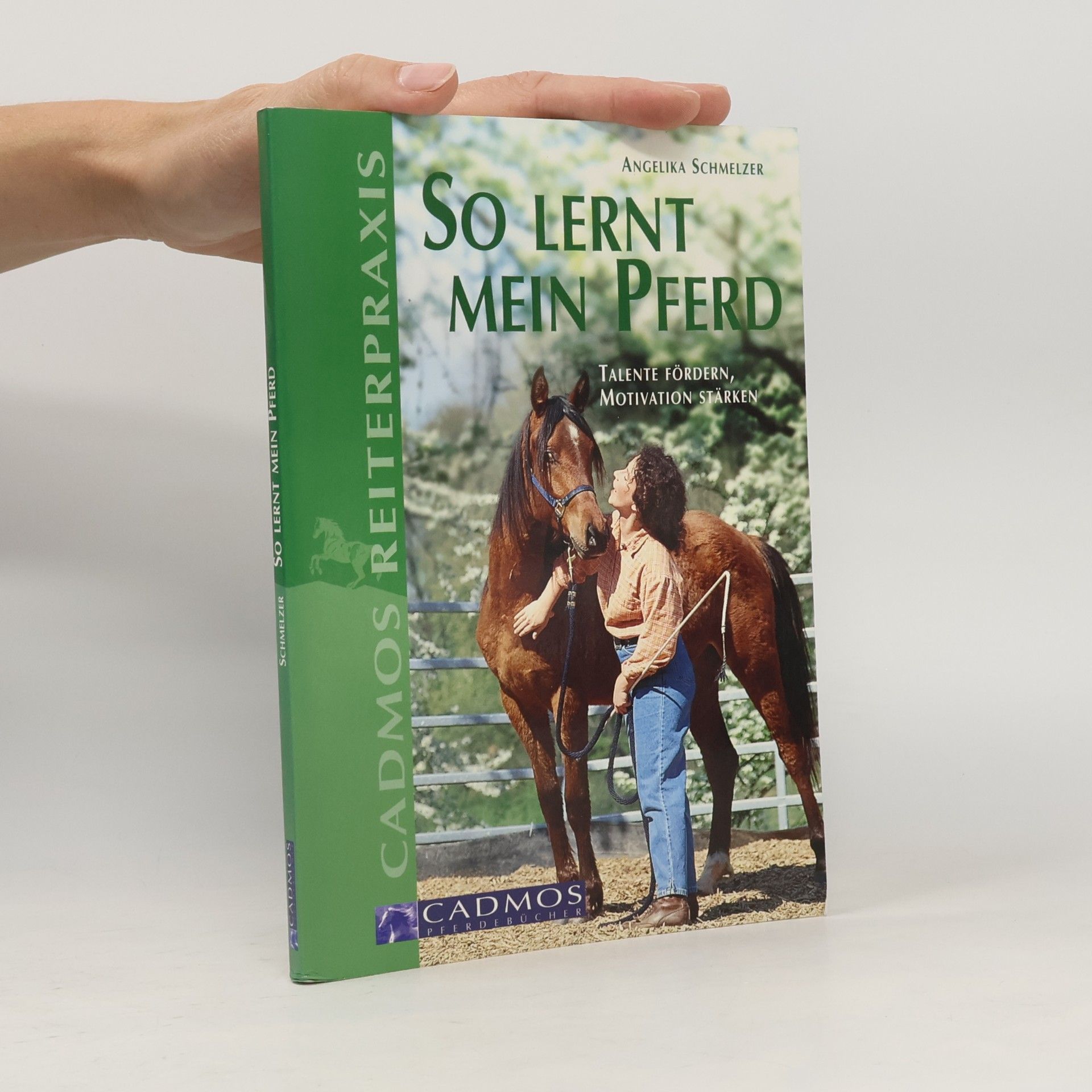 So lernt mein Pferd