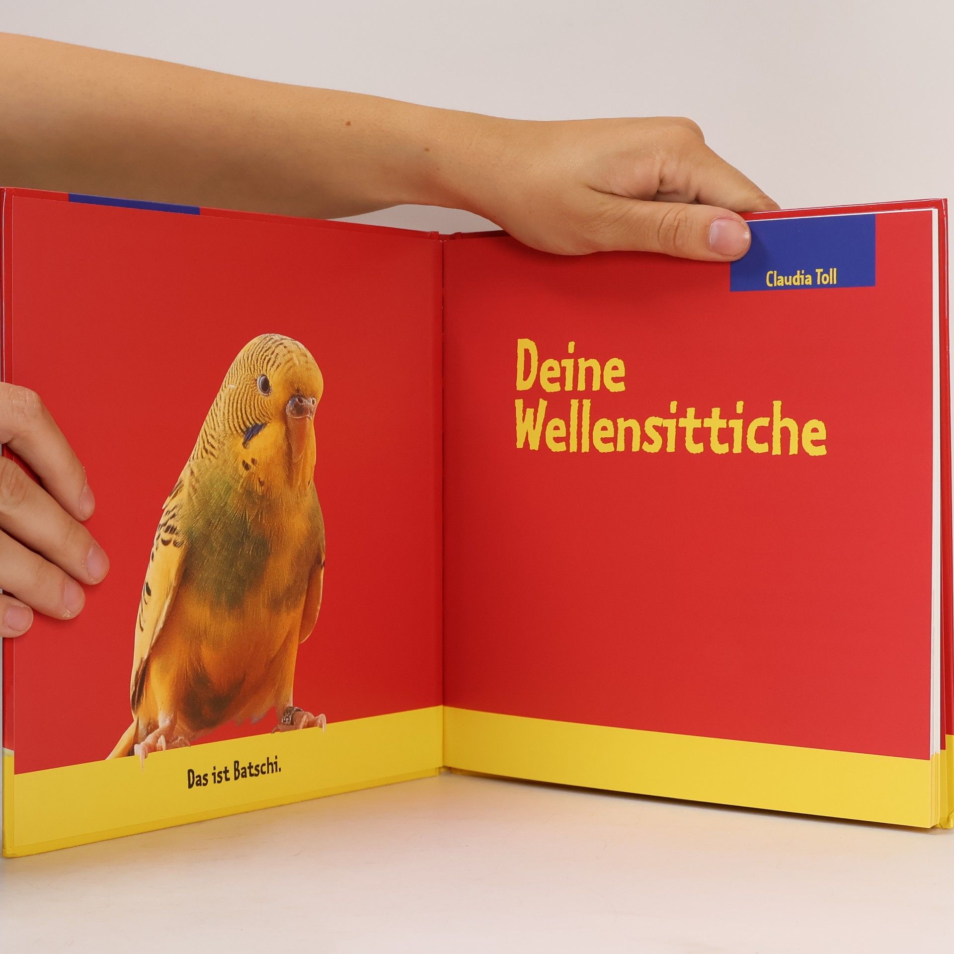 Claudia Toll Deine Wellensittiche