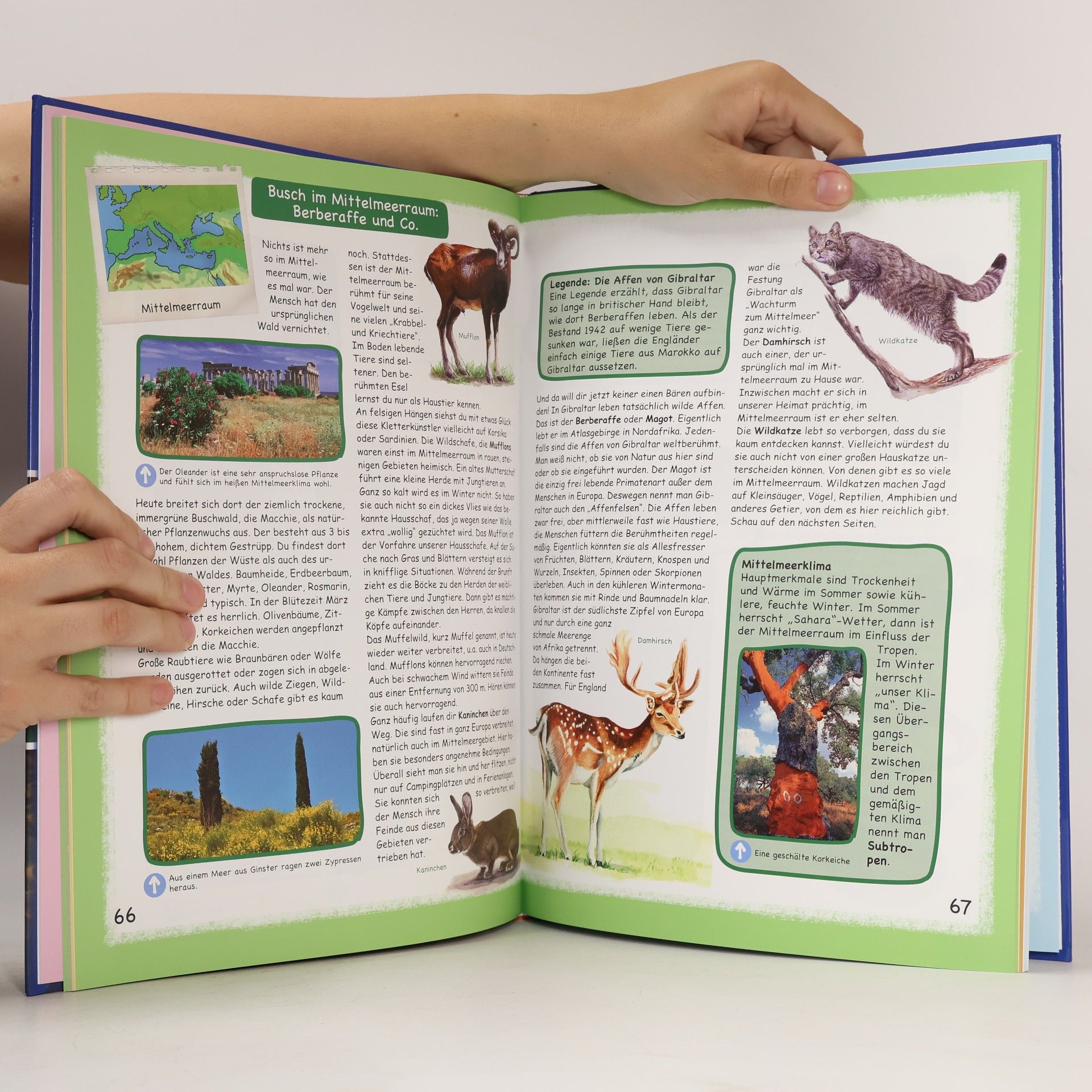 Various authors Tieratlas für Kinder