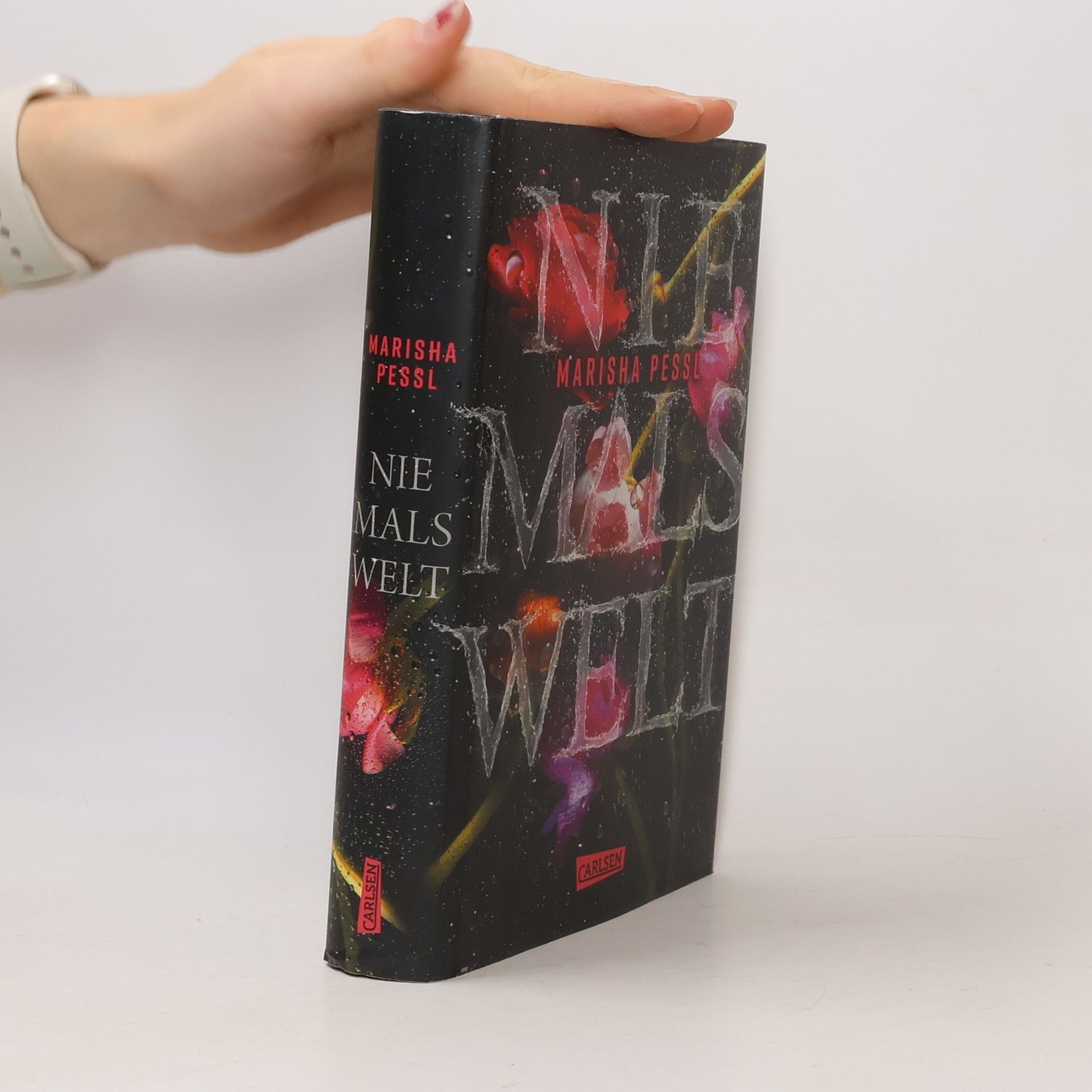 Marisha Pessl Niemalswelt