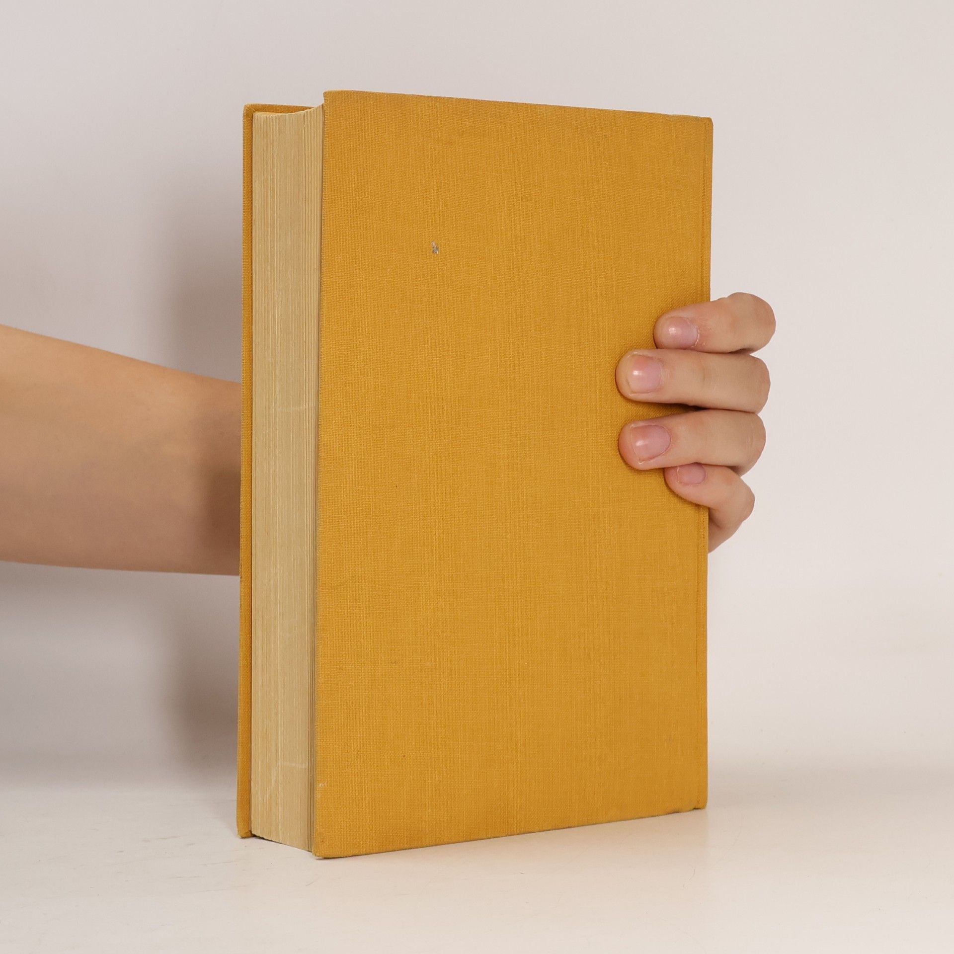 Wolfgang Goetz Du und die Literatur